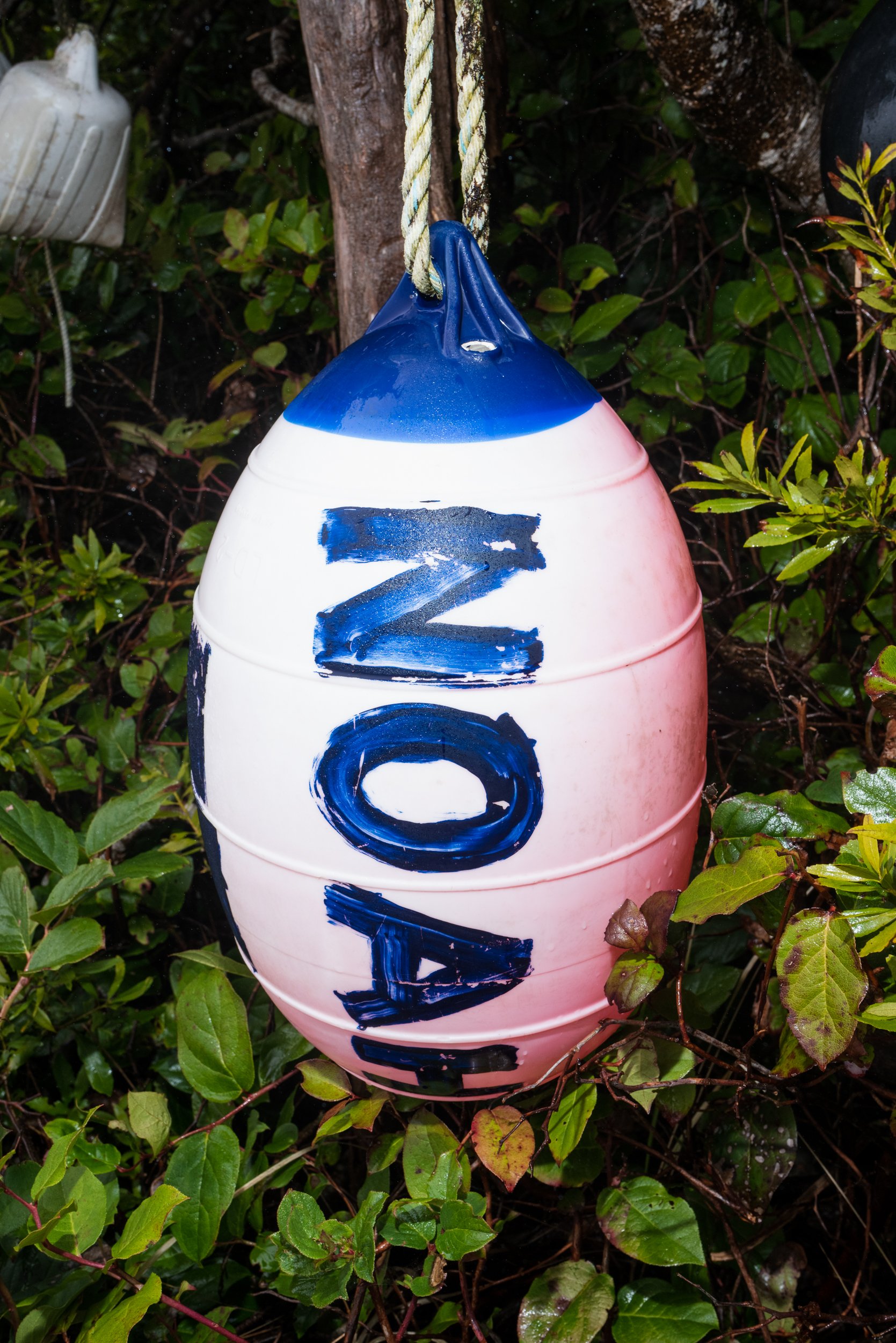 NOAH buoy