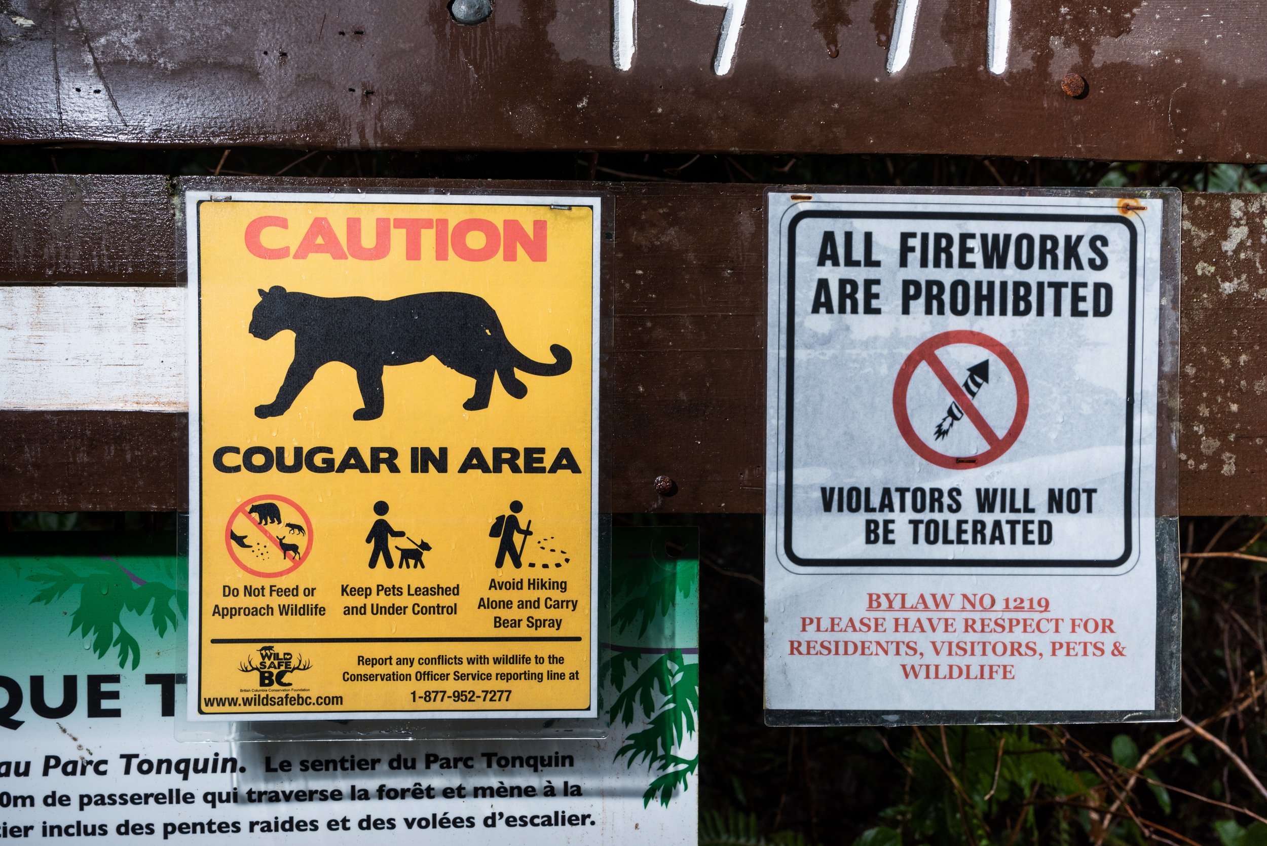 Cougar warning hiking trail