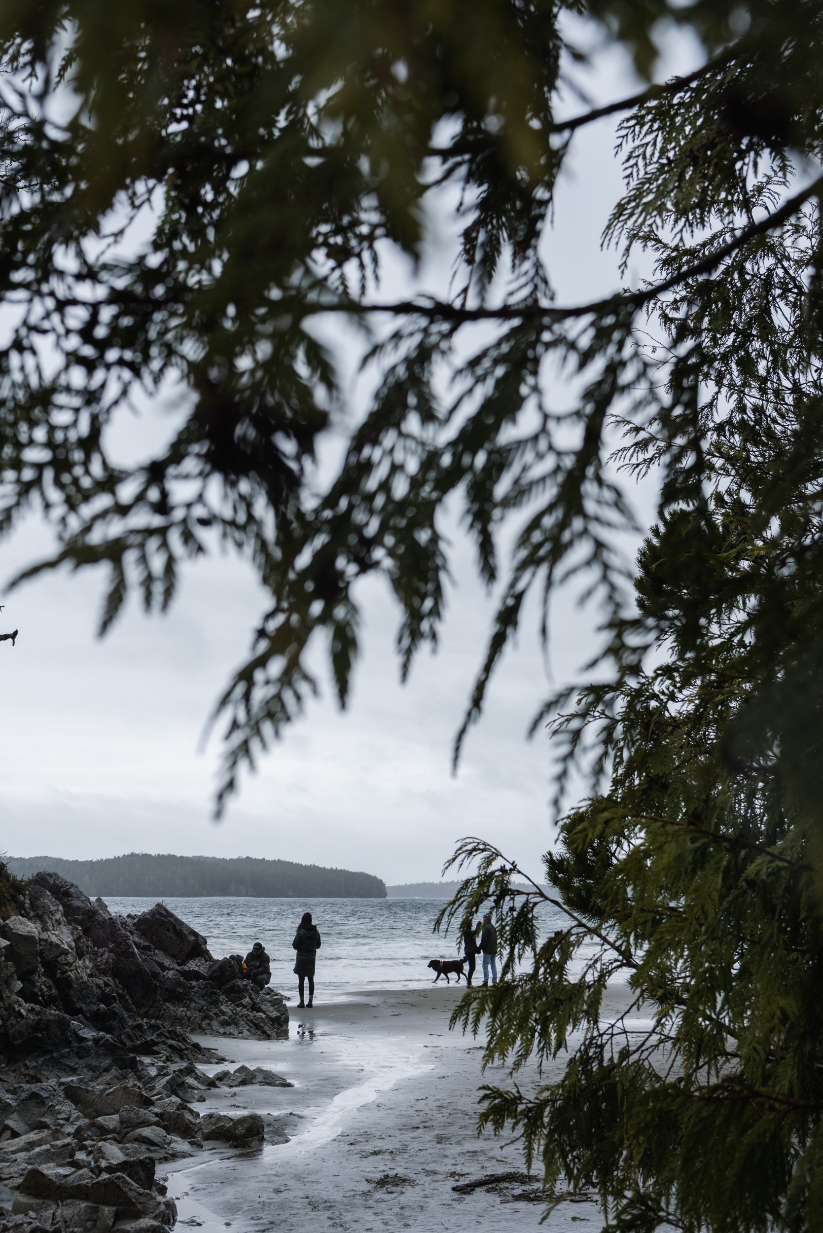 Standing on beach with trees Tofino