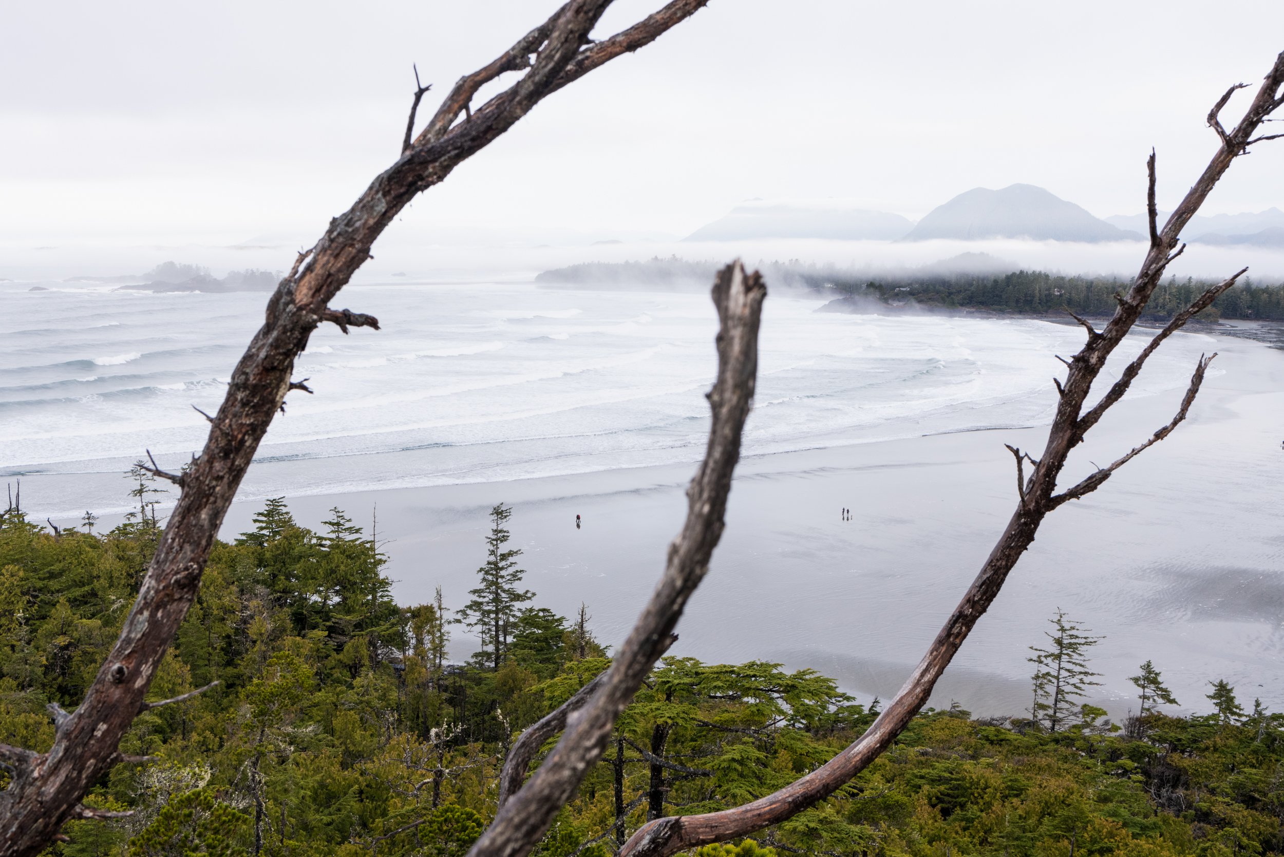 Lookout over Cox Bay, Tofino