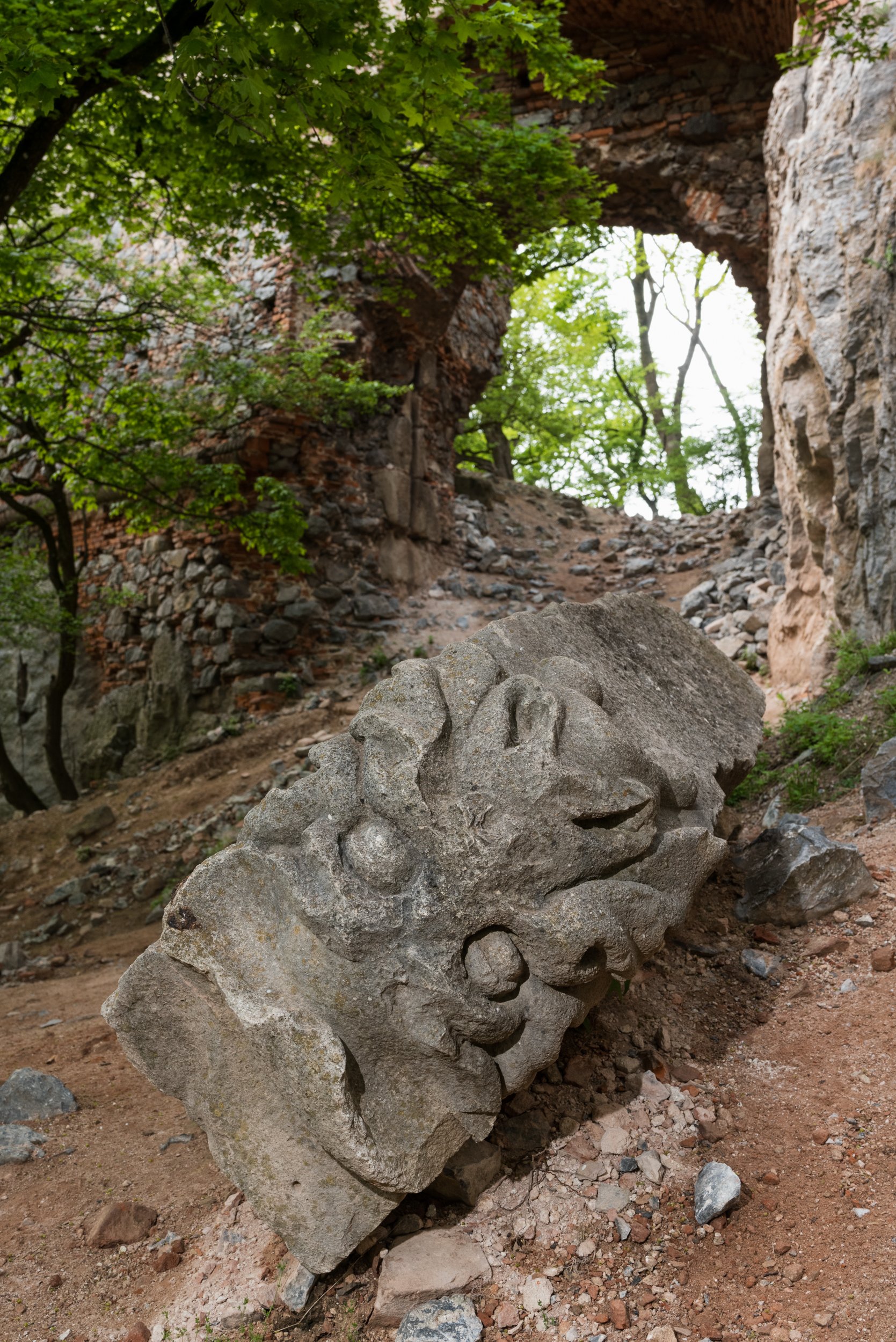 Pajštún Castle gargoyle head