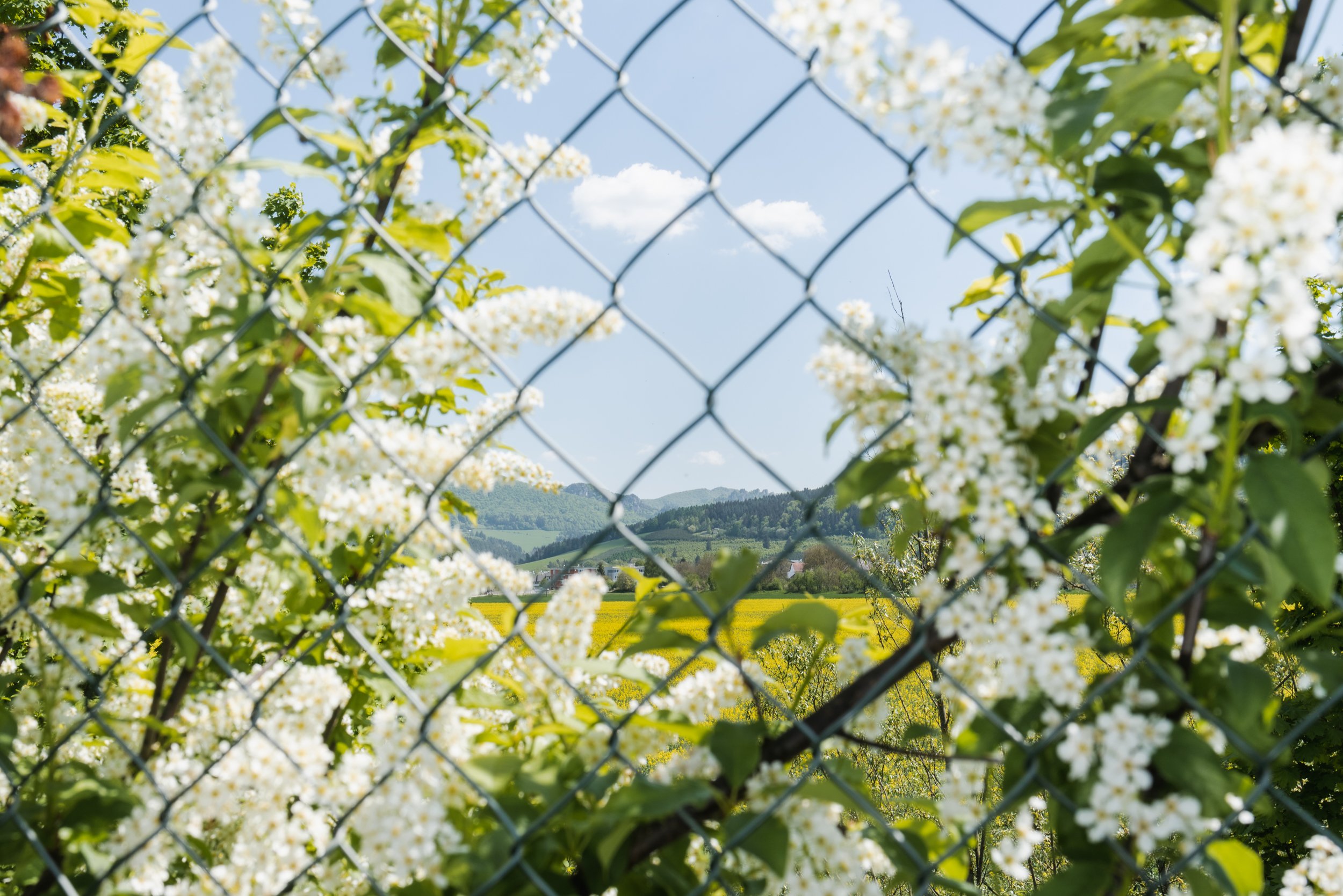 Landscape in Trenčin through fence