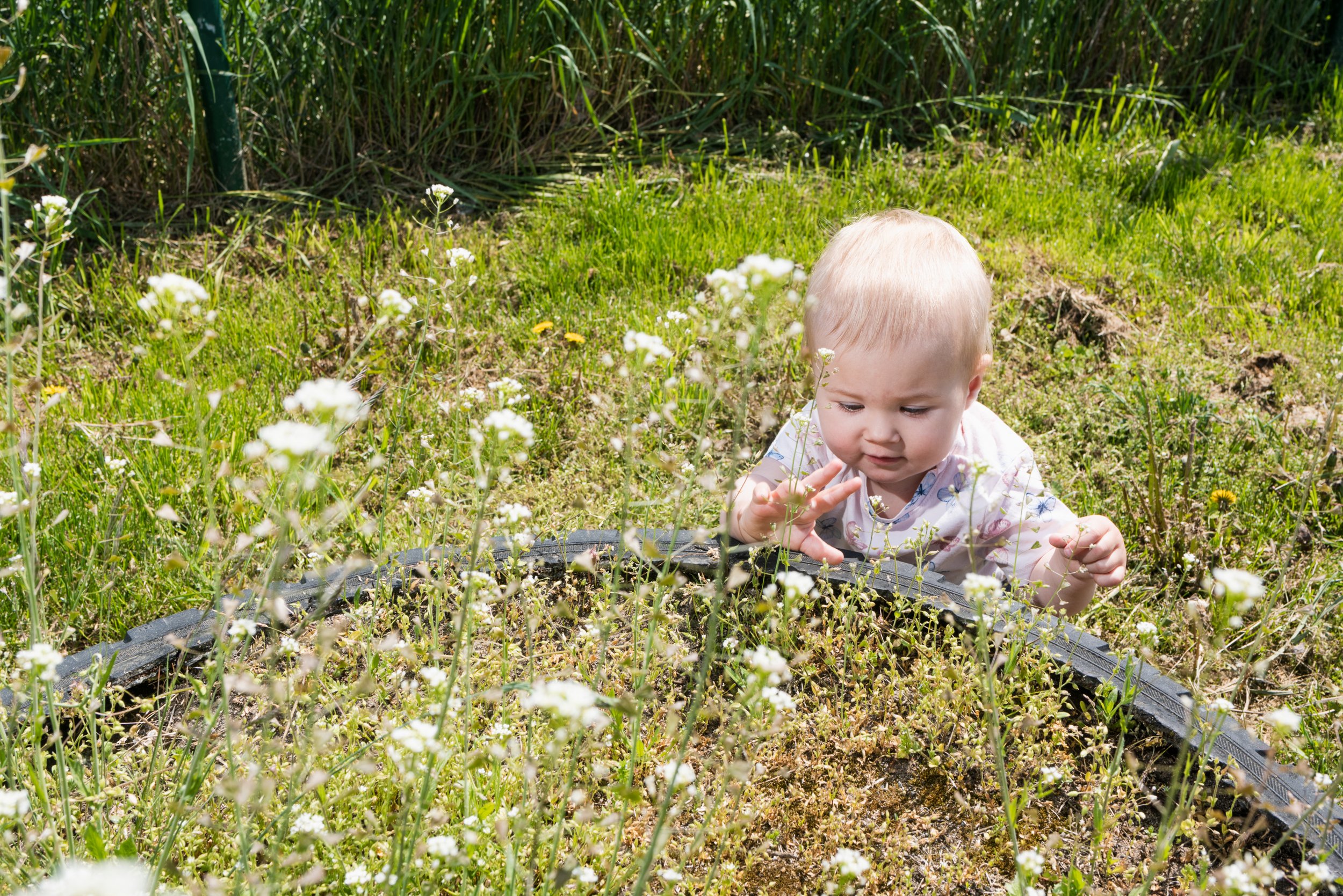 Child playing with flowers