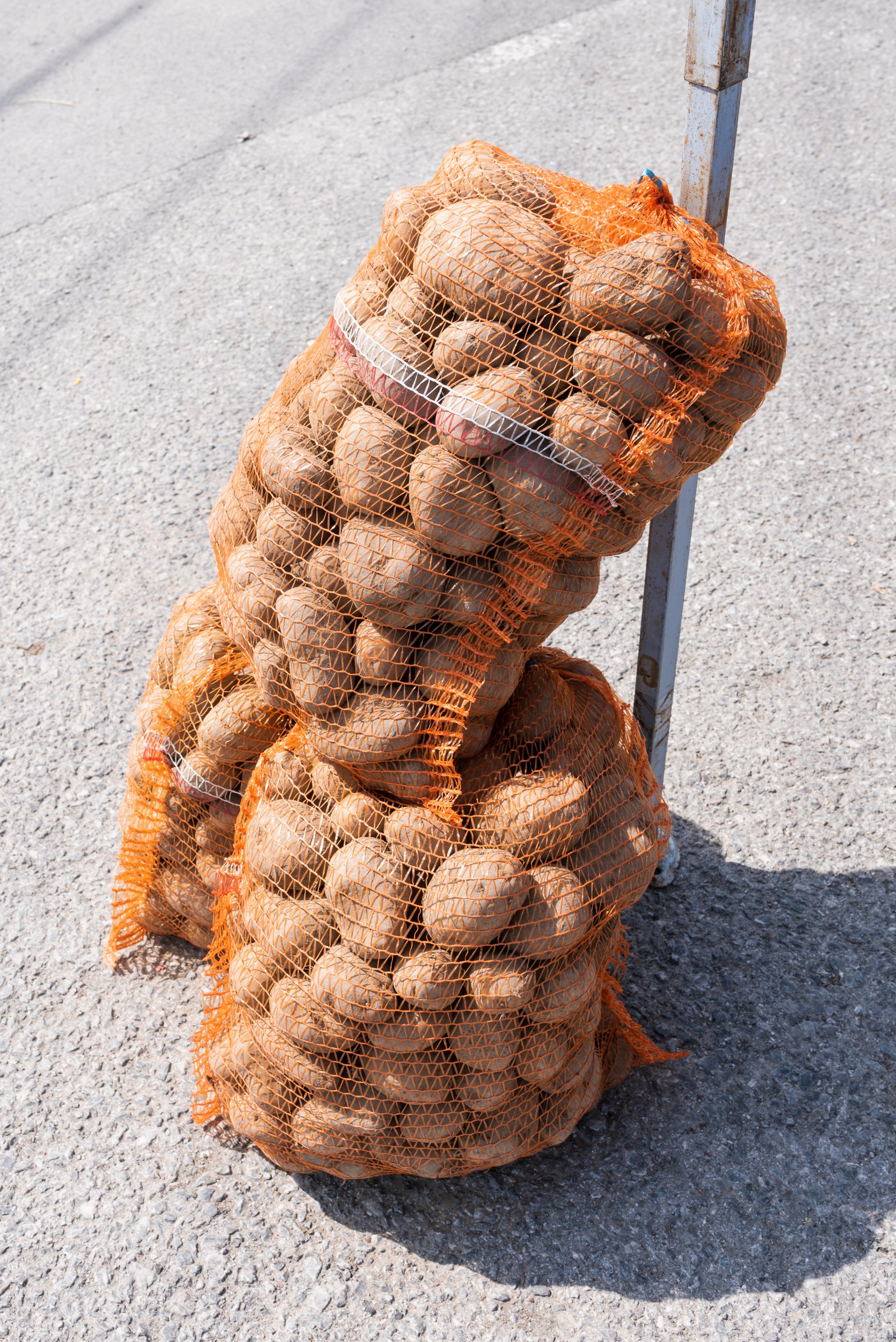 Two bags of potatoes for sale