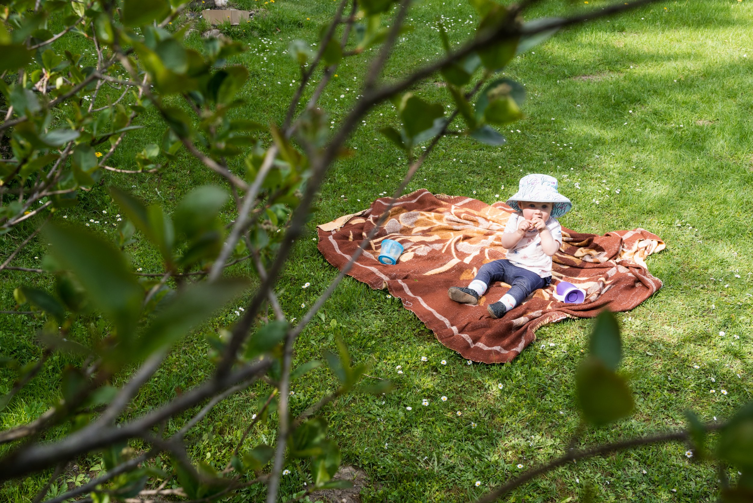 Baby sitting on picnic blanket