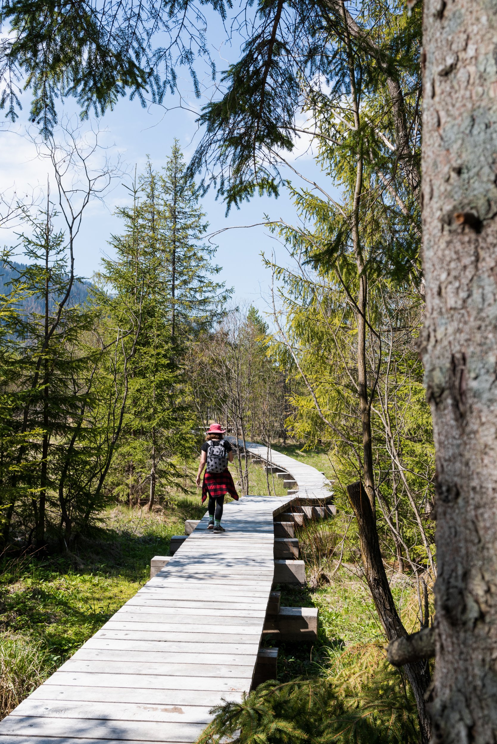 Hiking through Orava nature