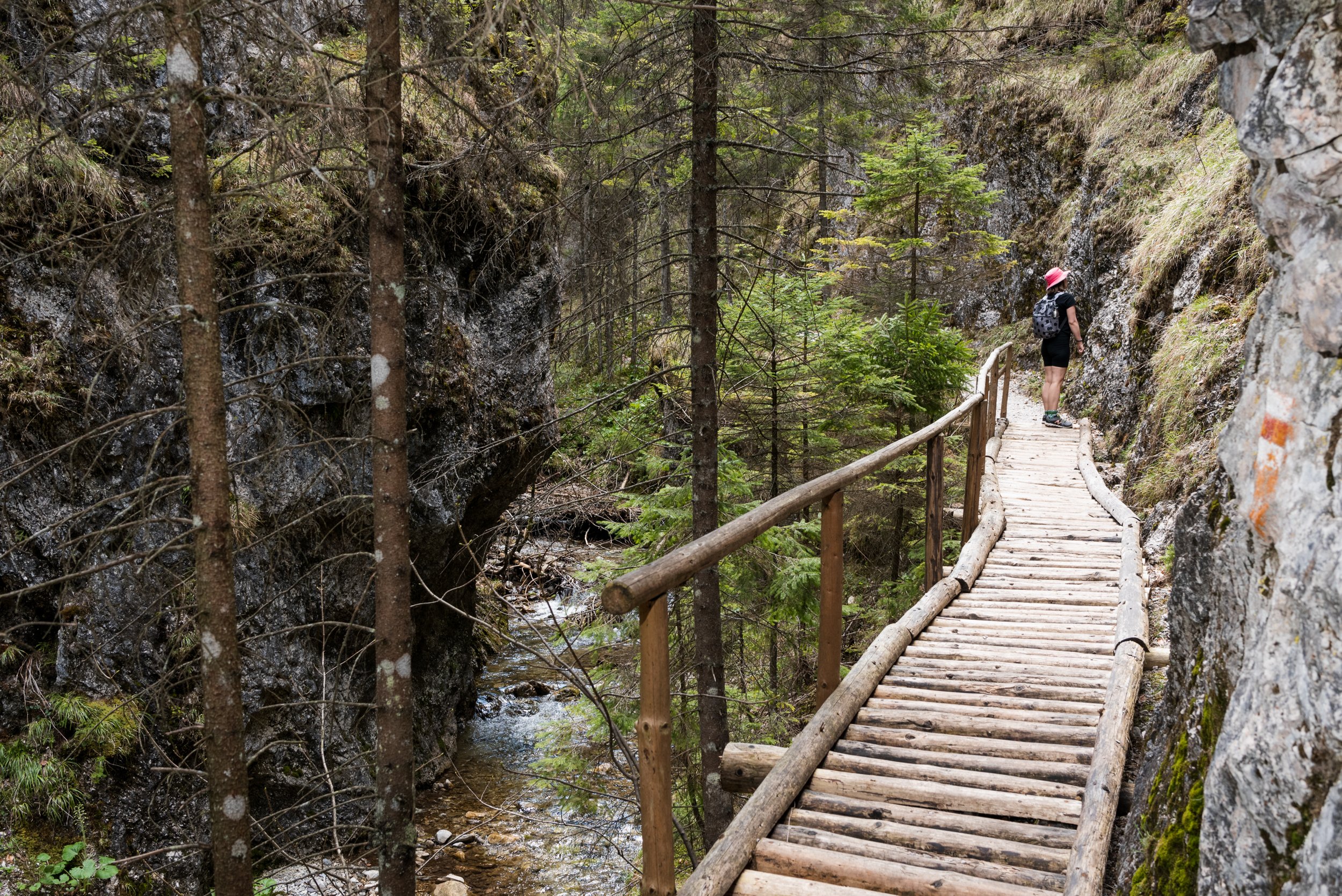 Juráňova Dolina walk