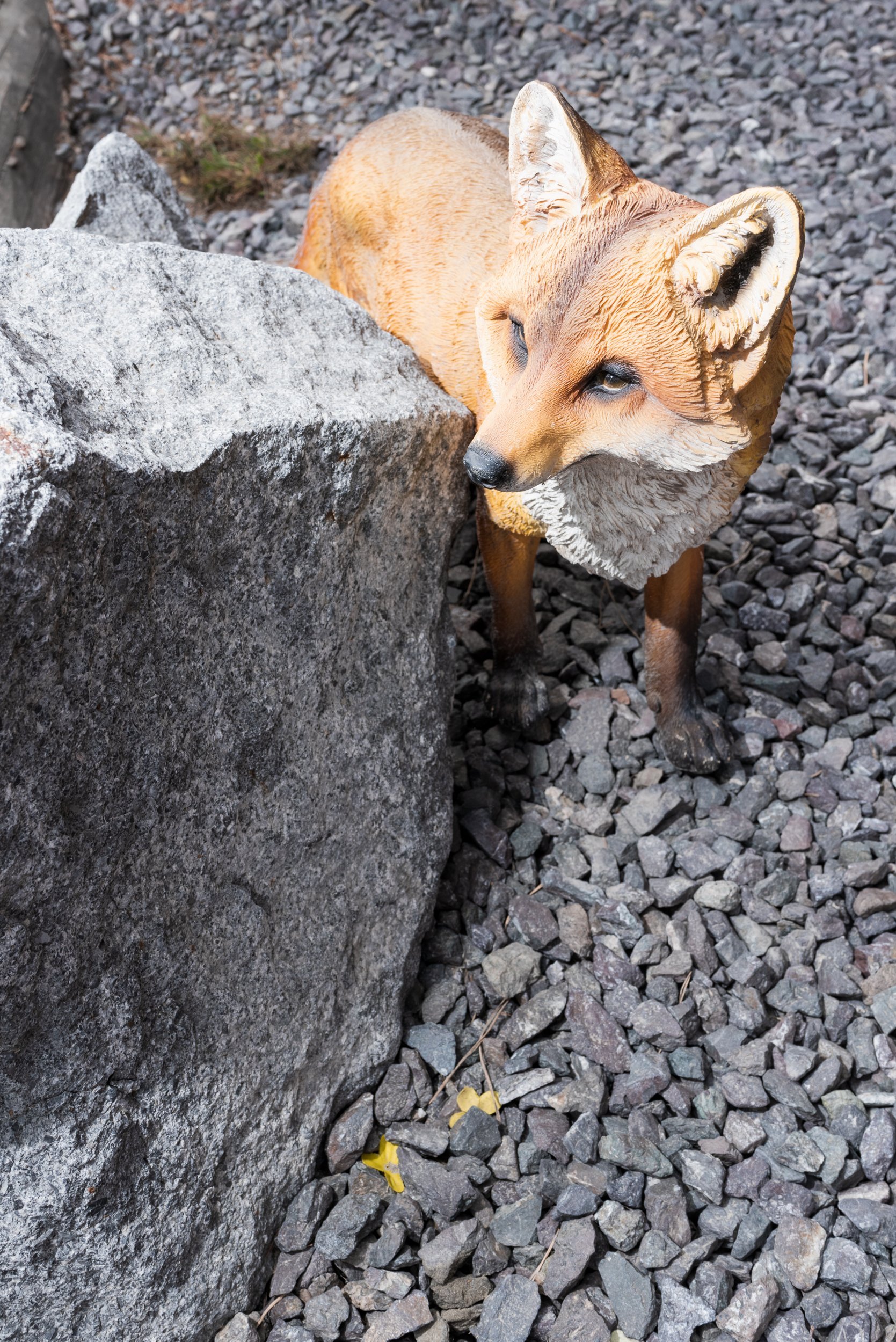 Fox statue with rock