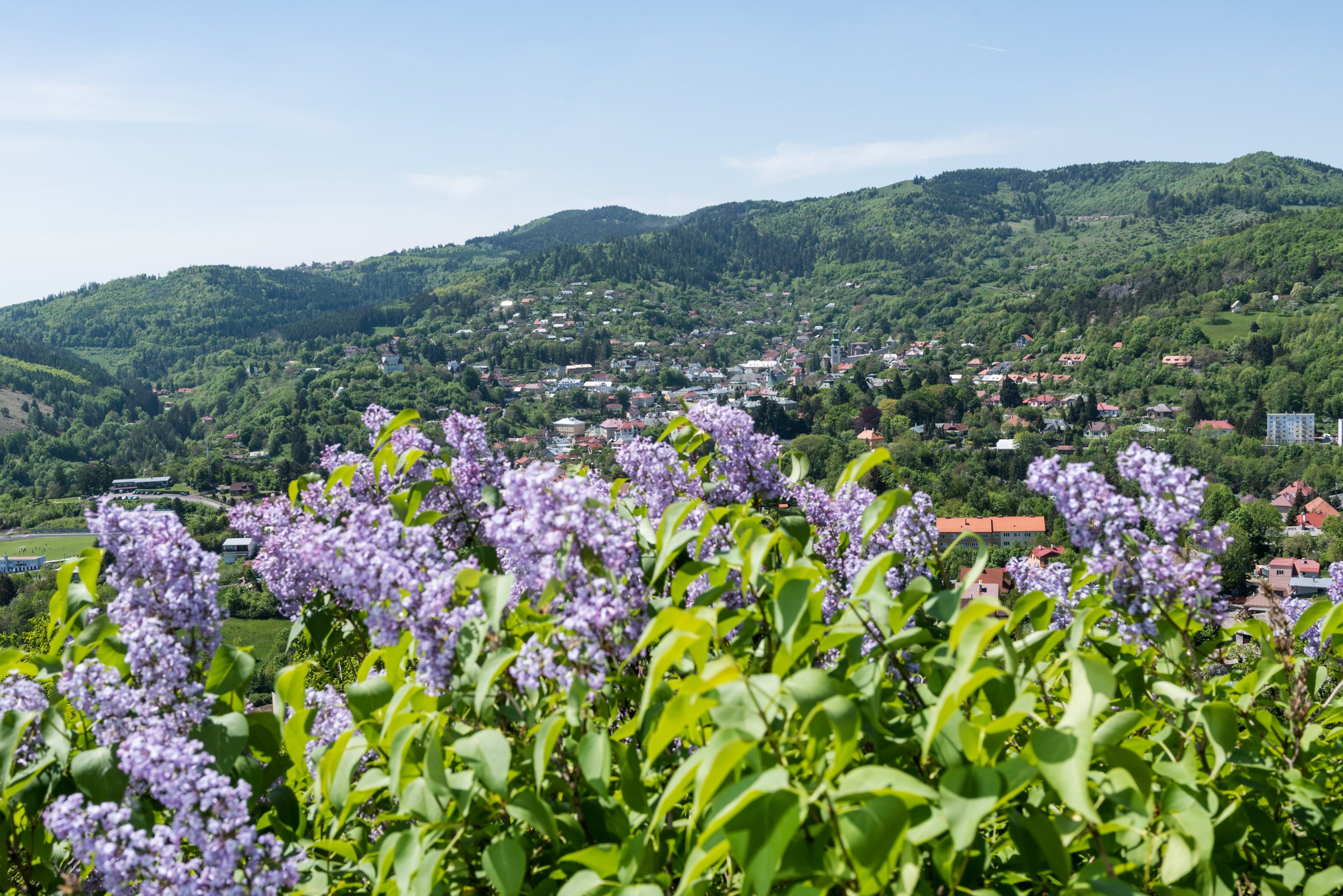 Banská Štiavnica landscape