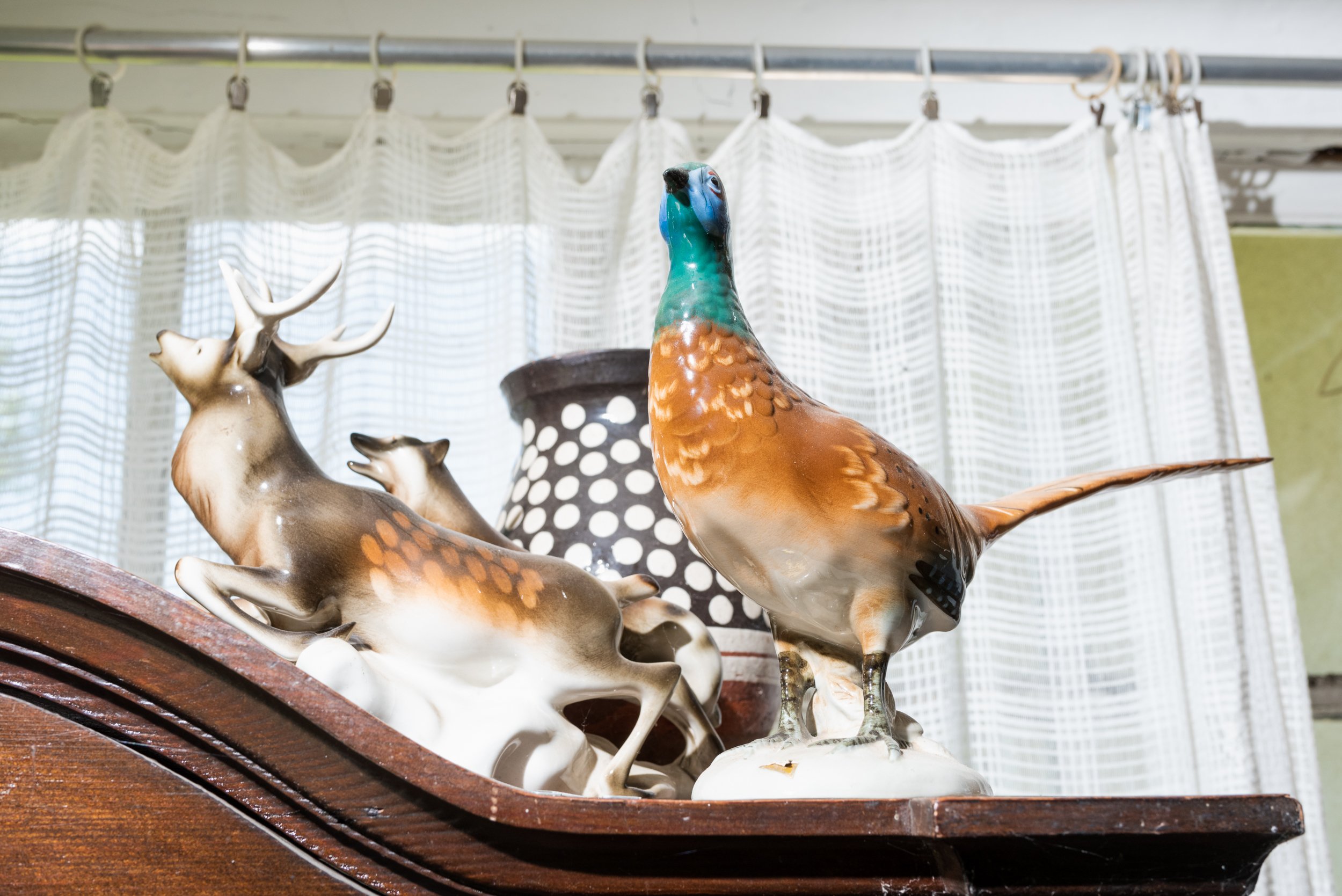 Animal statues in cabin