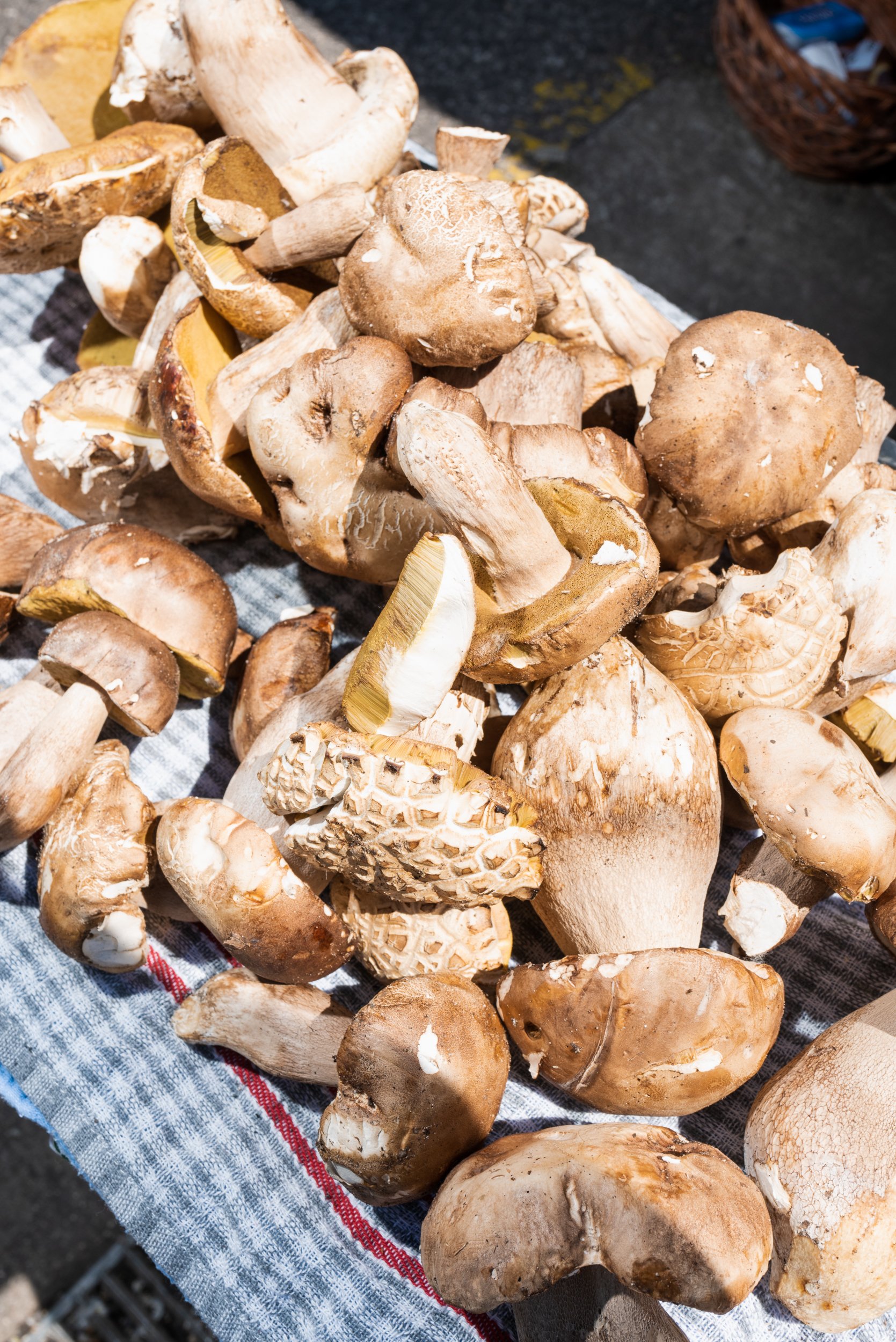 Mushrooms for sale Bratislava market