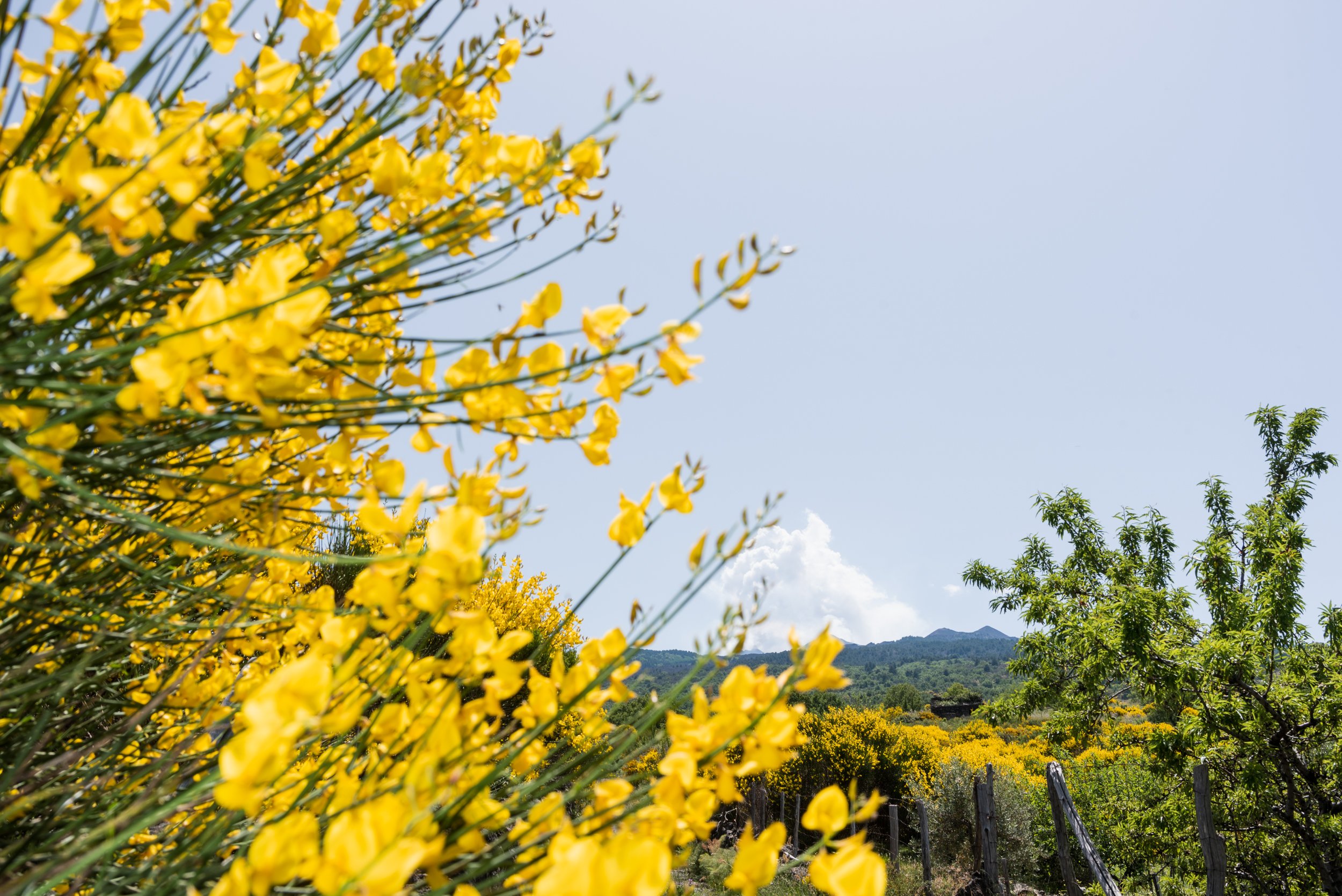 Mount Etna