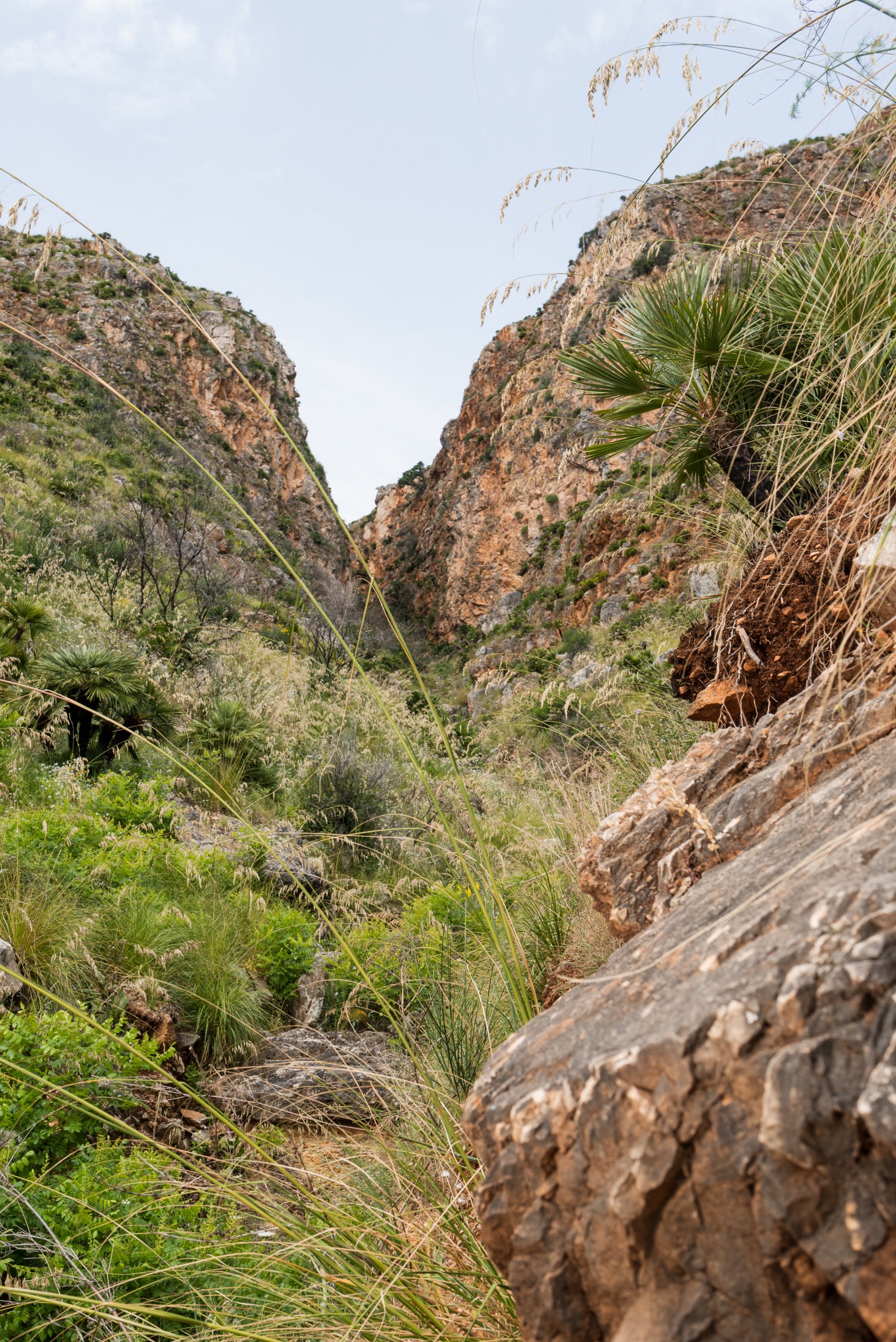 Zingaro Nature Reserve landscape