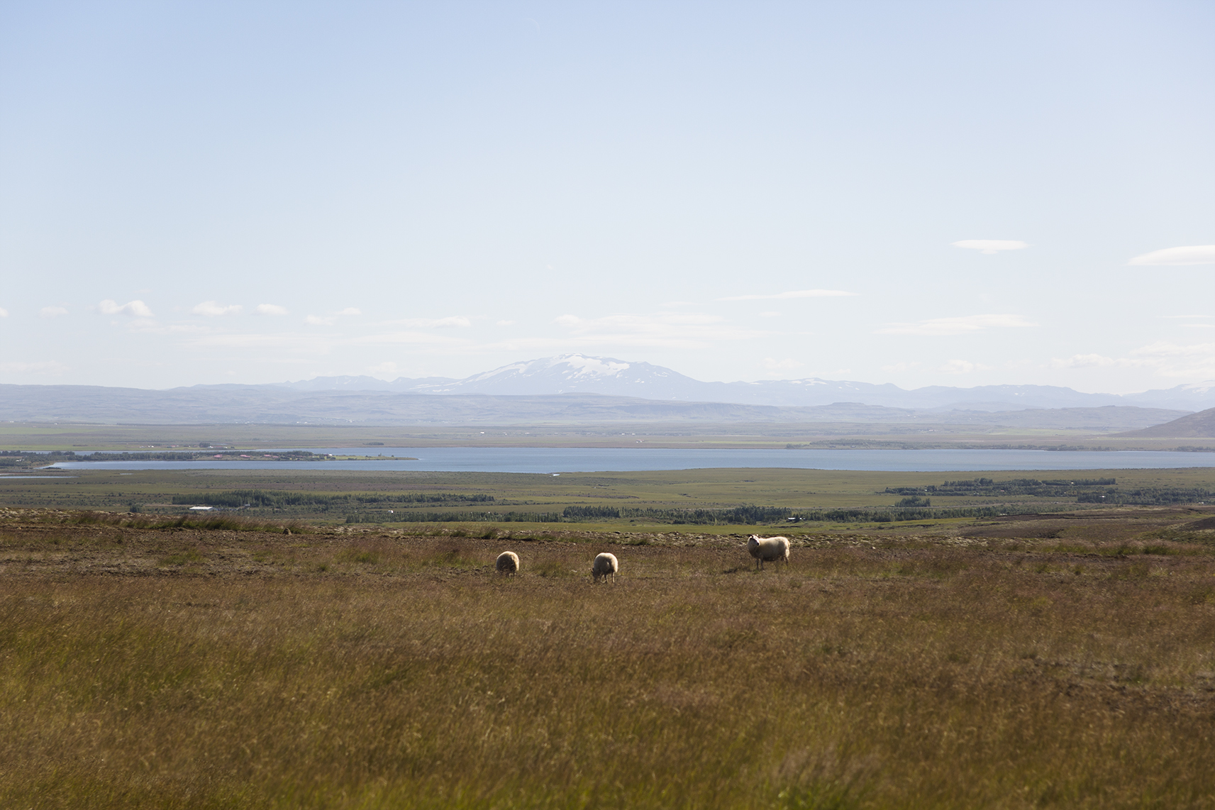 Iceland