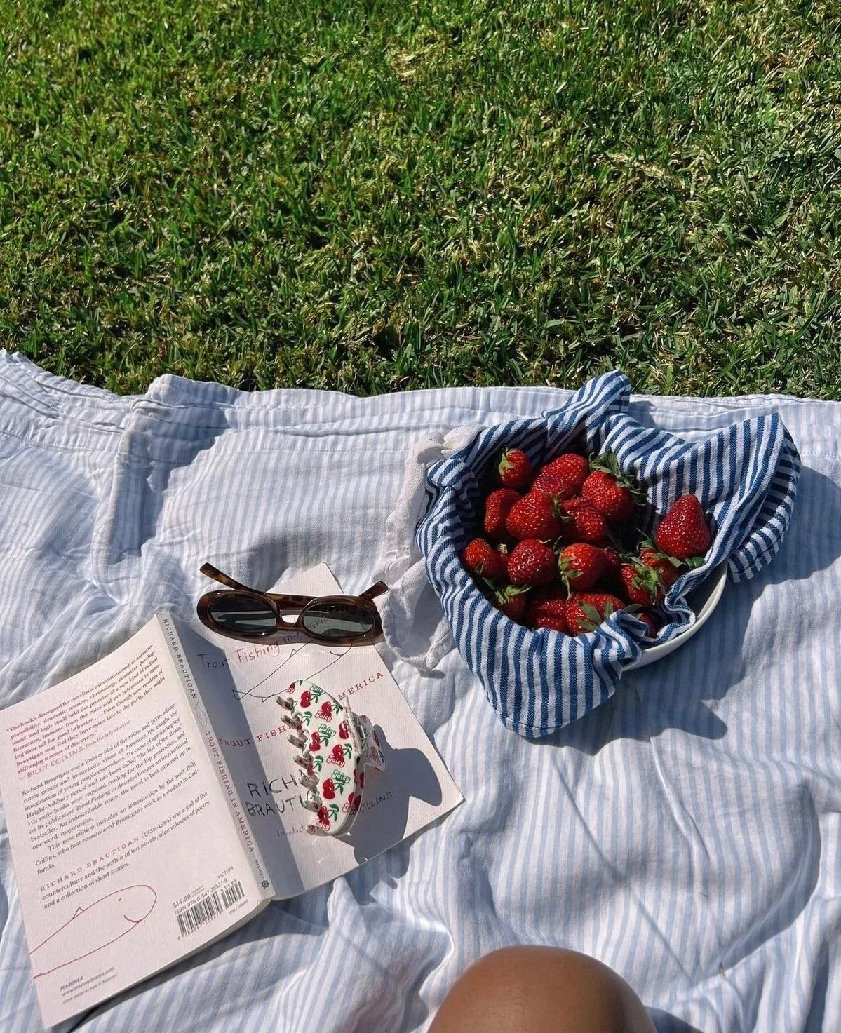 Summer Break - Clinic Closed