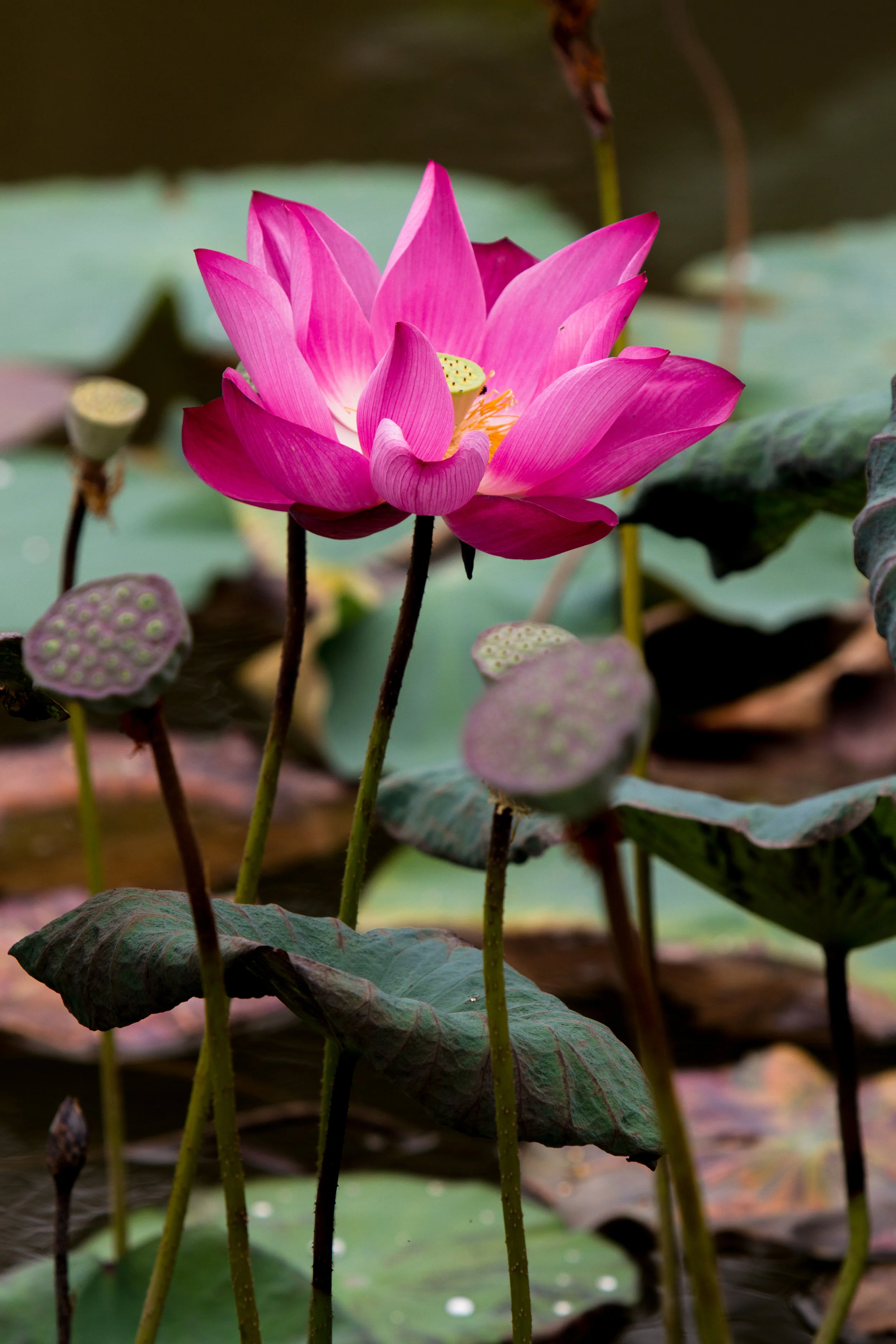China_2015-29.jpg