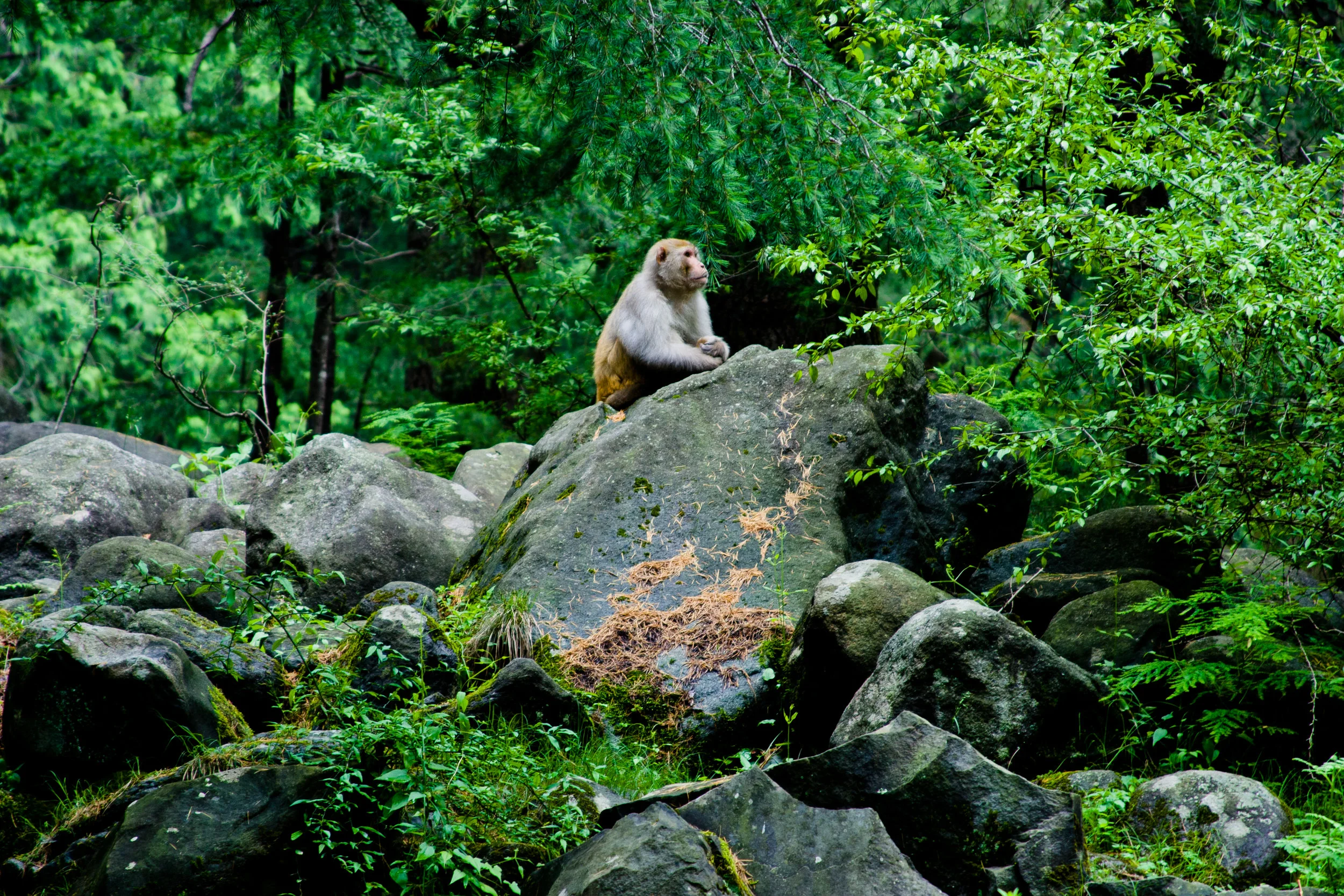 India_2005-48.jpg