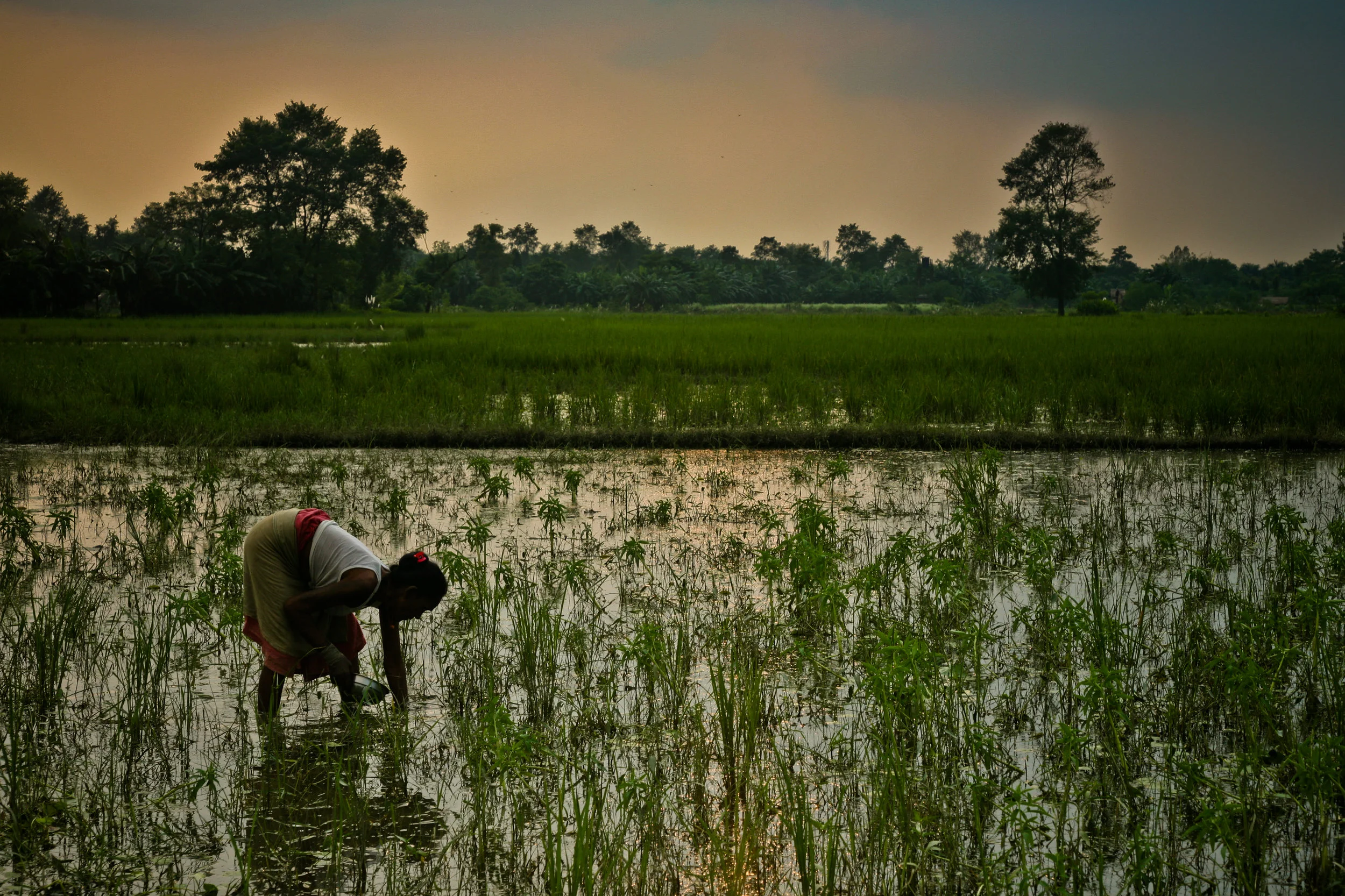 India_2005-133.jpg