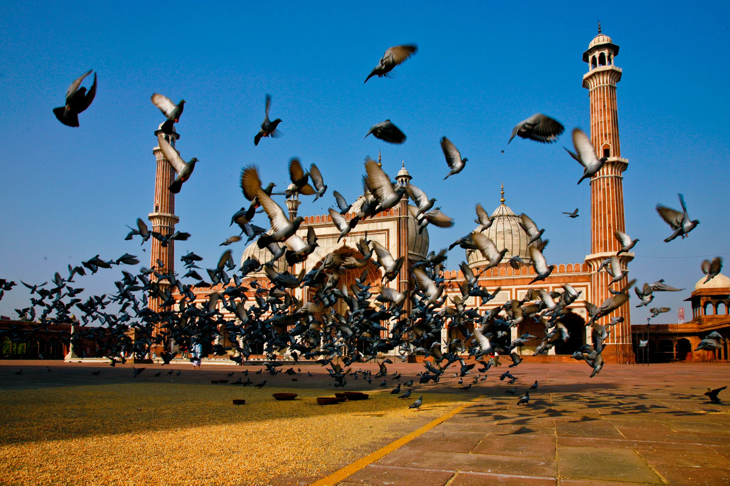 India_2005-136.jpg