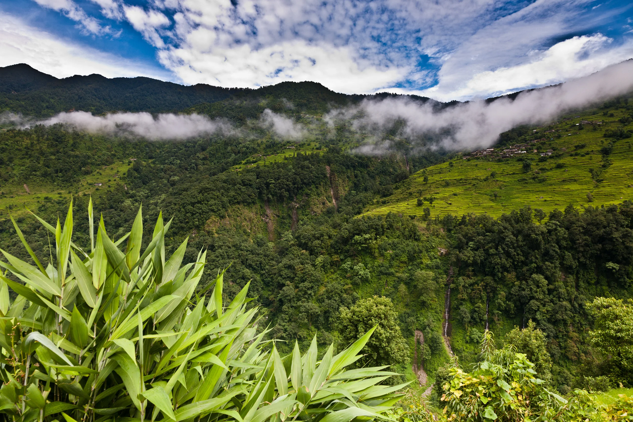 Nepal_2007-2.jpg