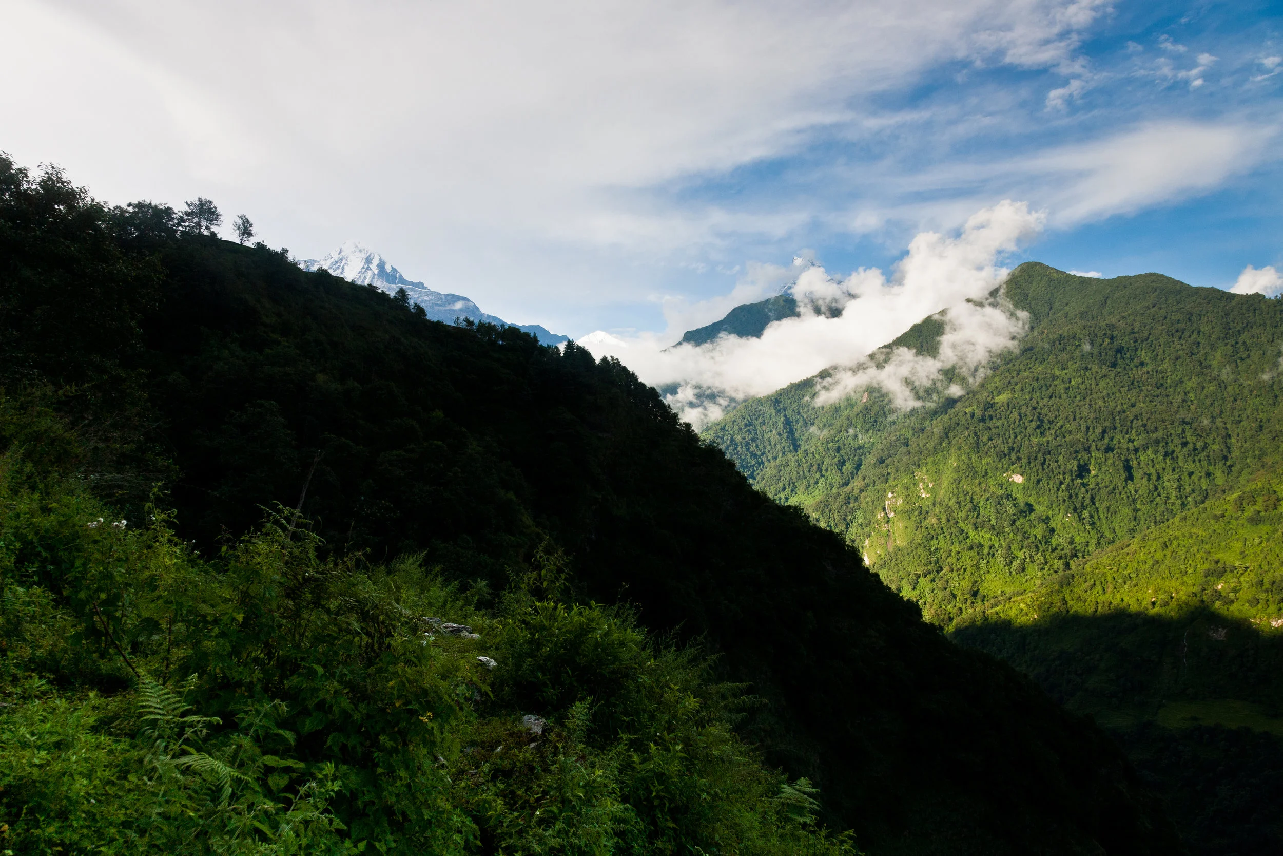 Nepal_2007-3.jpg