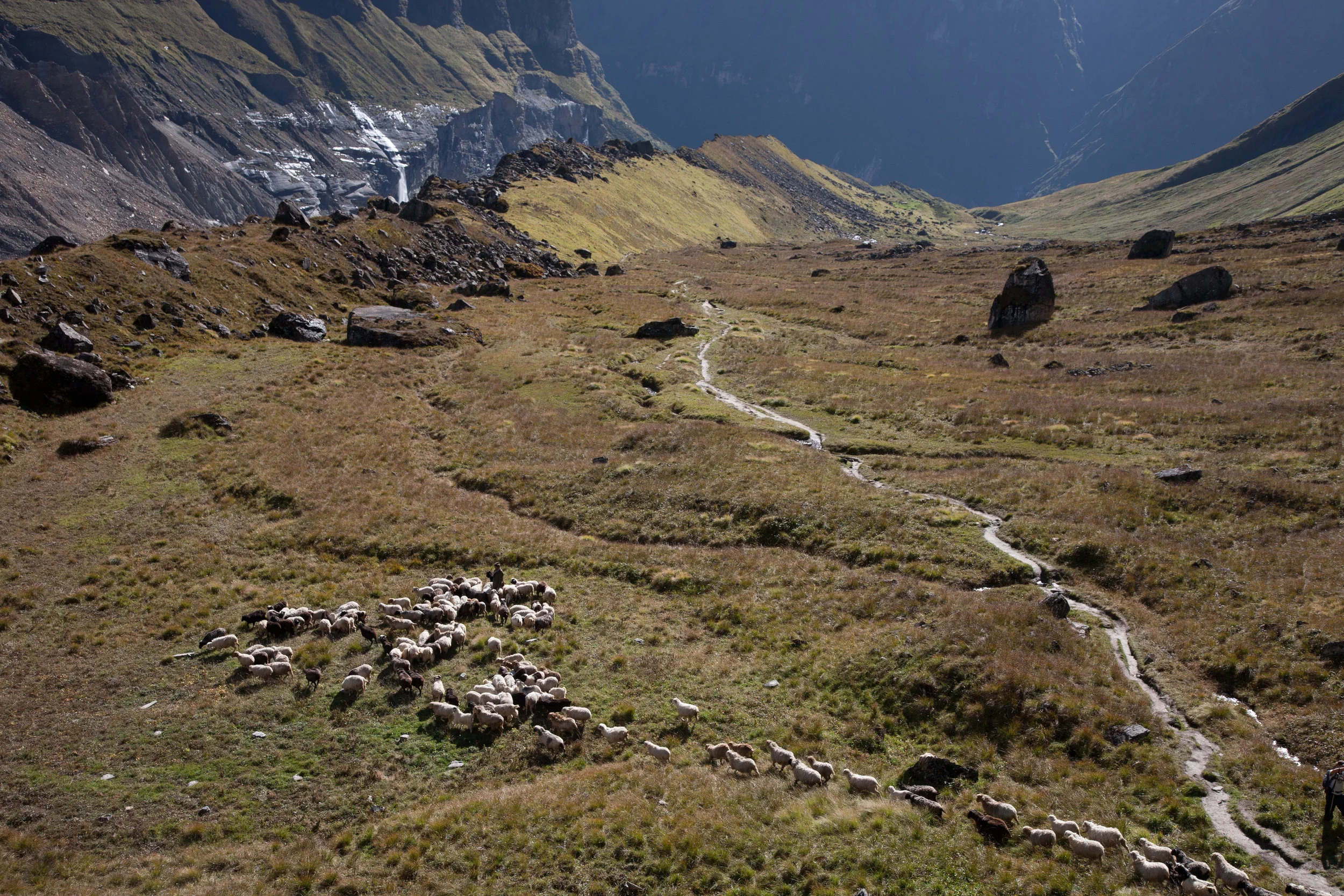 Nepal_2007-41.jpg