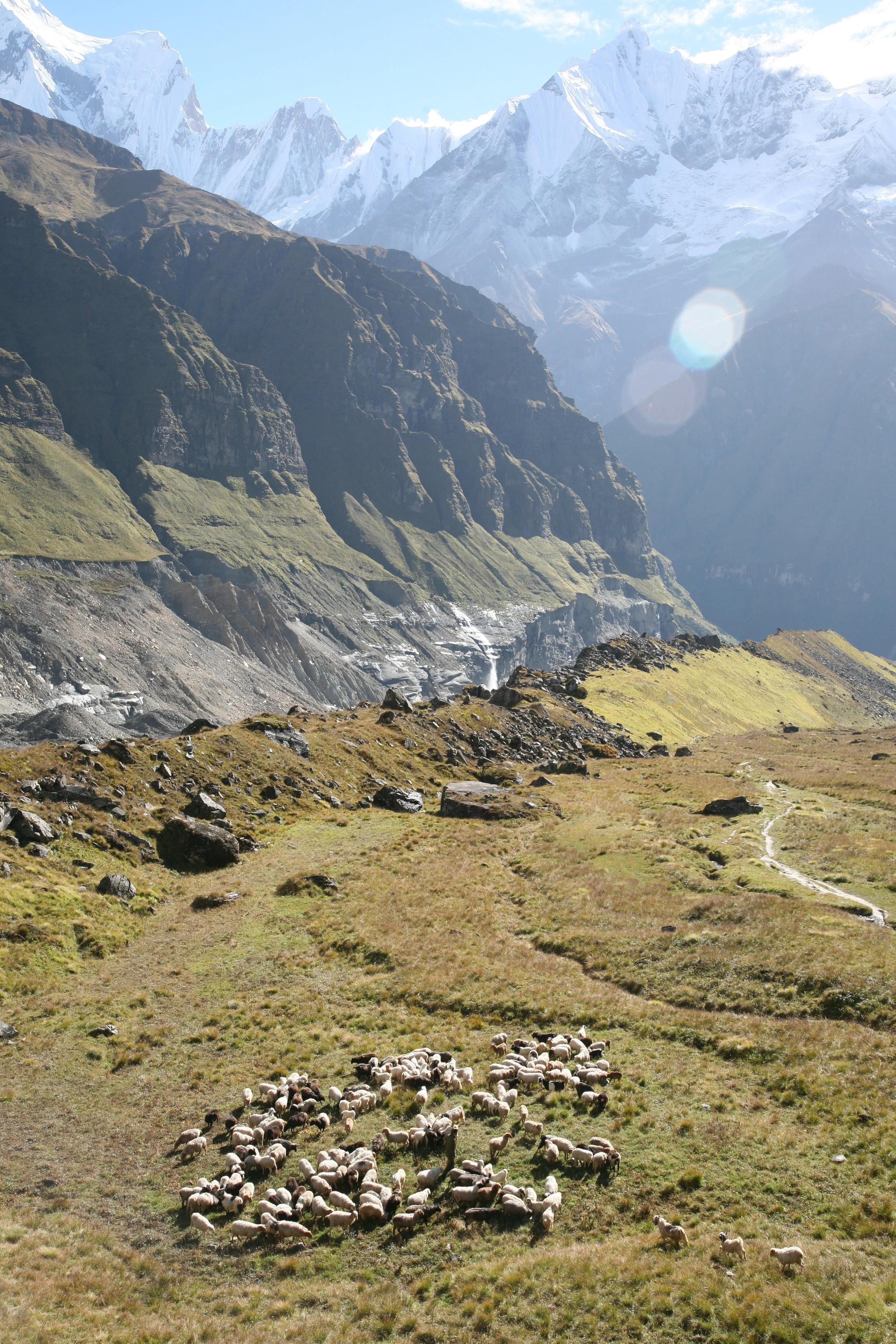 Nepal_2007-42.jpg