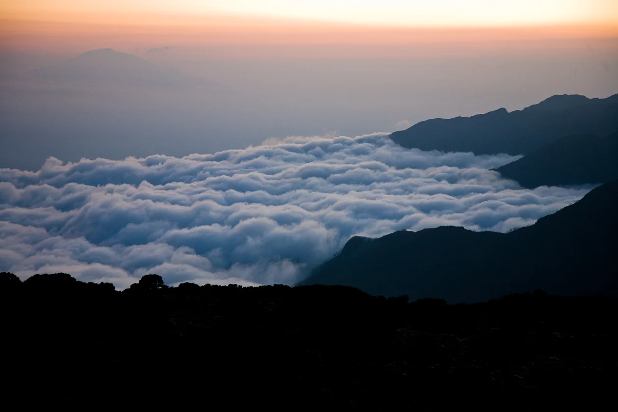 _MG_5399.jpg