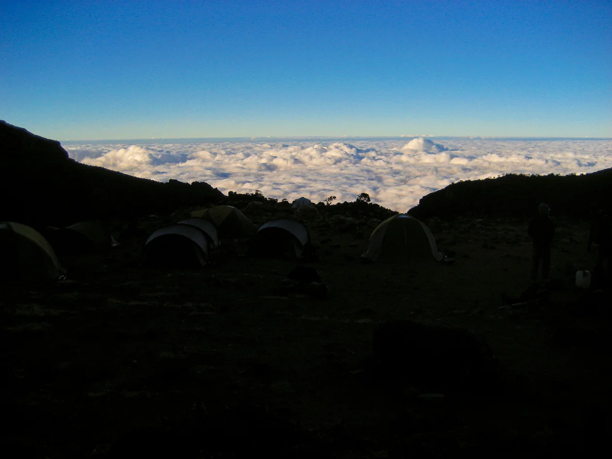 IMG_2764.jpg