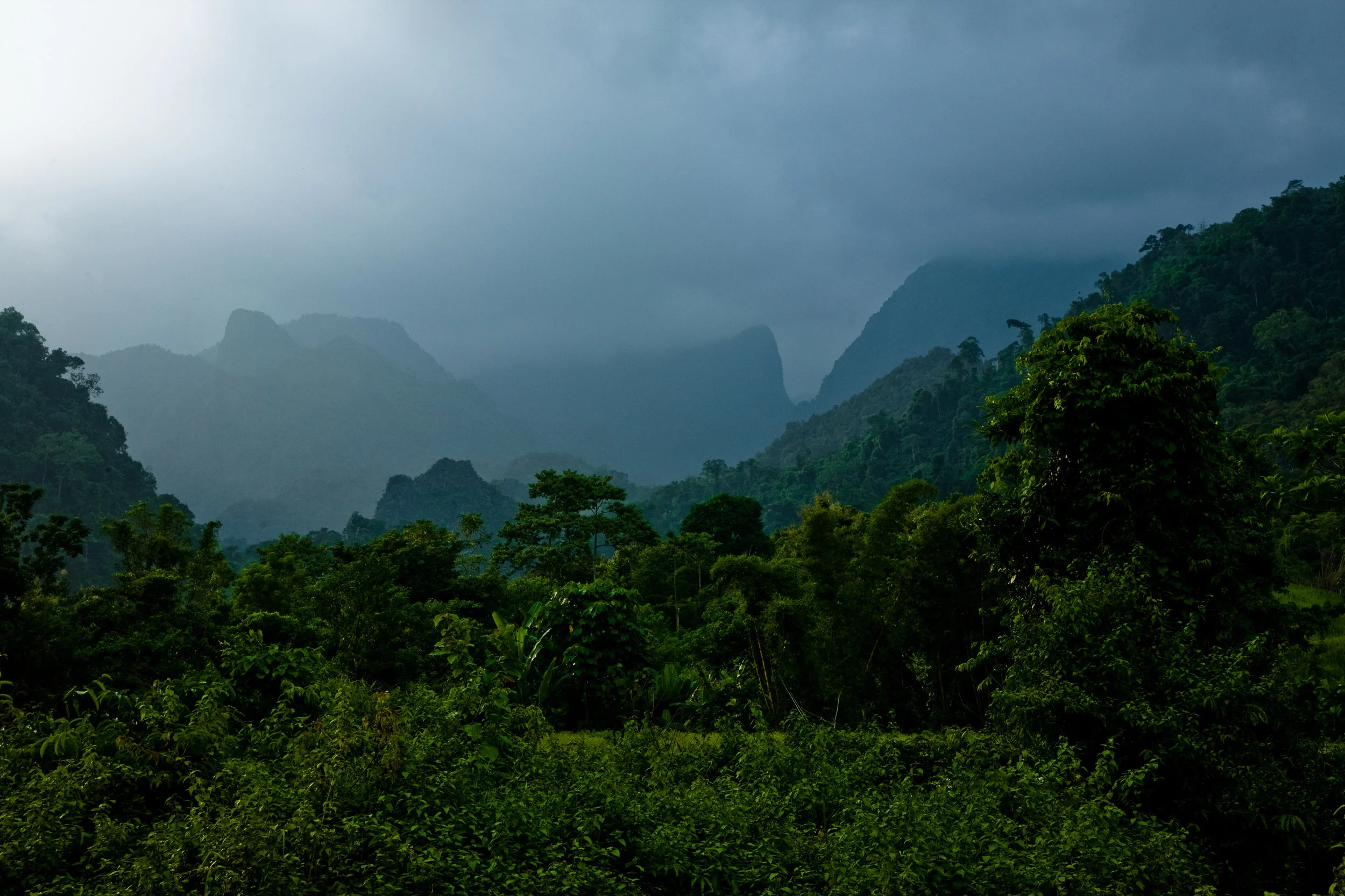 _MG_8858.jpg