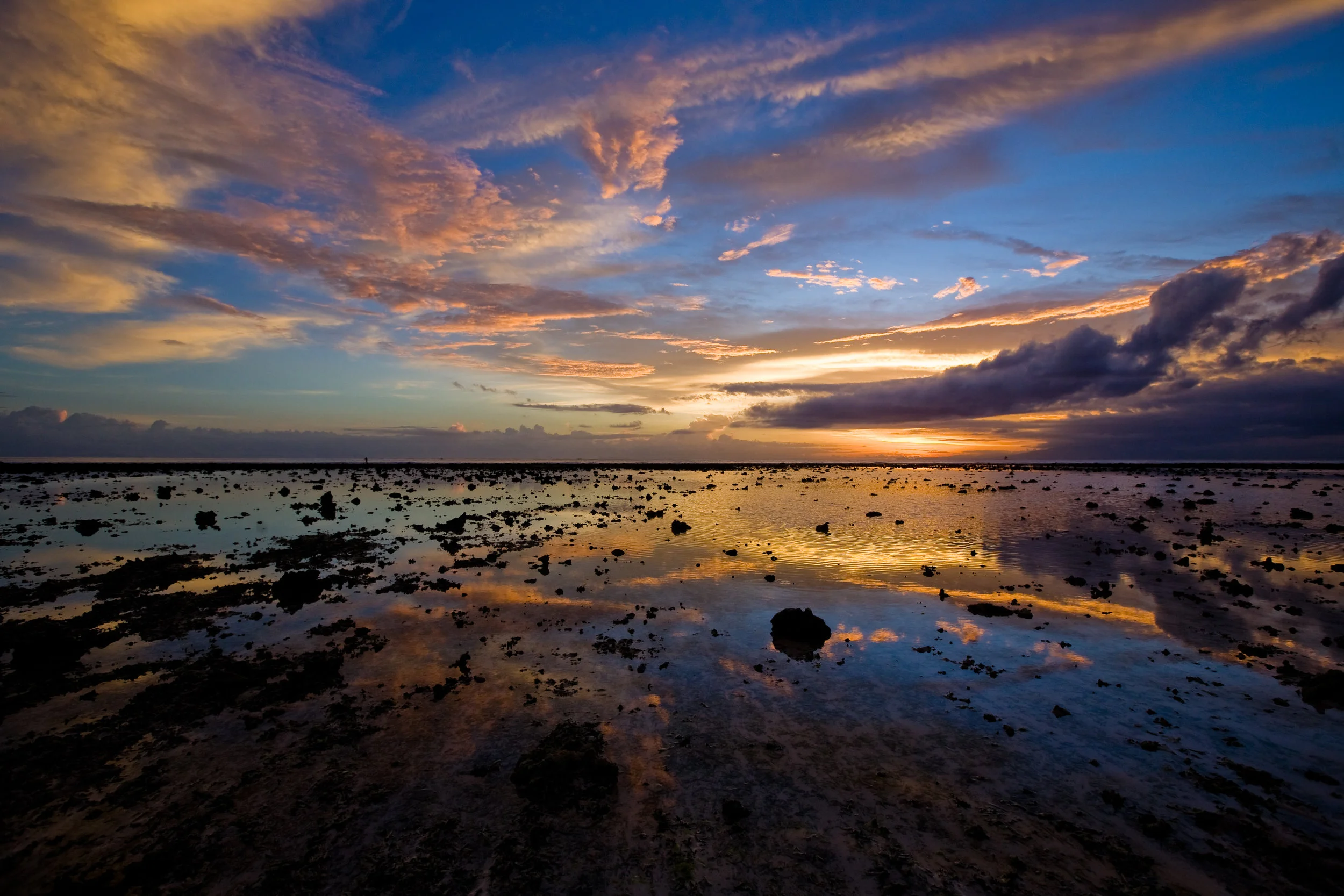 _MG_8843.jpg