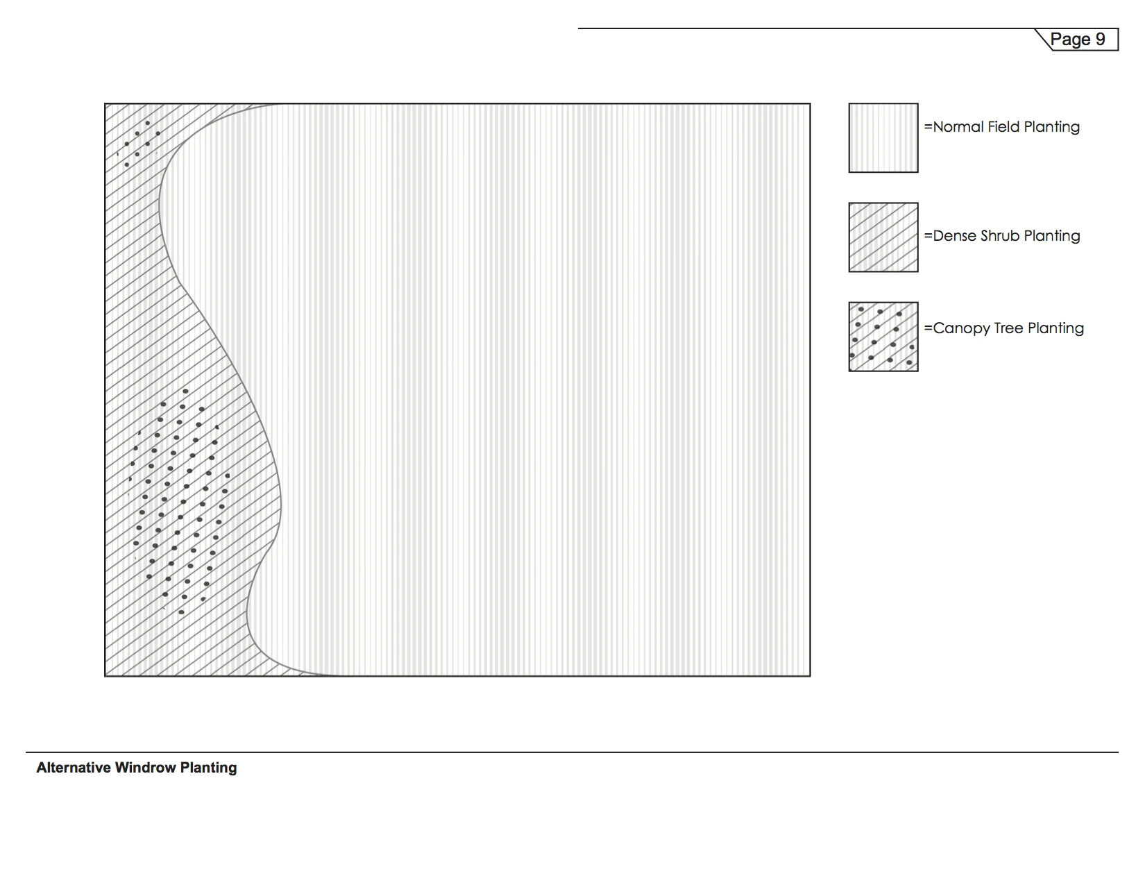 Dustbowl- Final Booklet Design 1 (dragged) 11.jpg