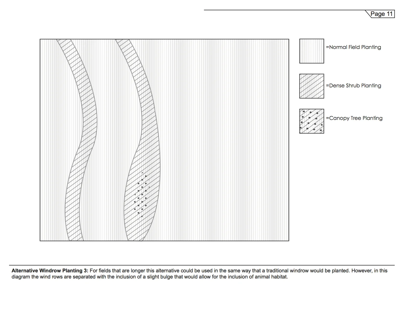 Dustbowl- Final Booklet Design 1 (dragged) 13.jpg