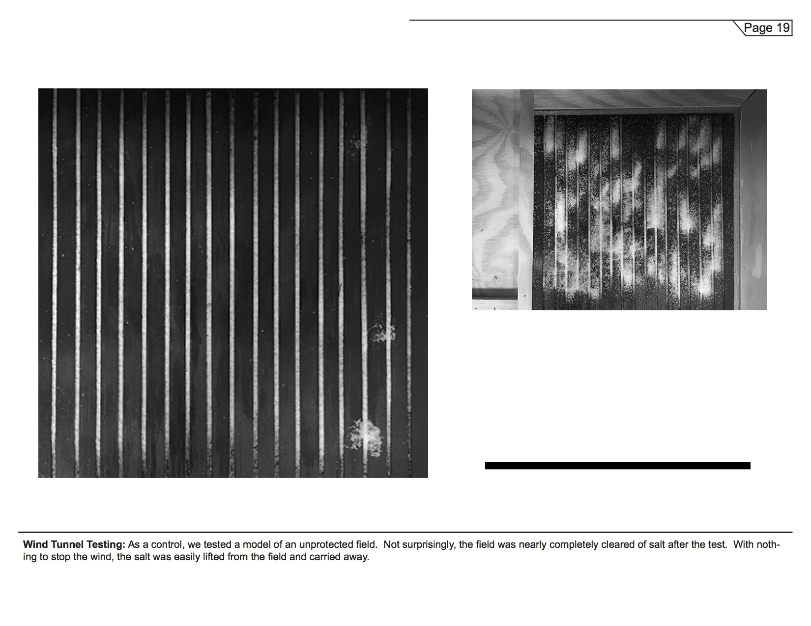 Dustbowl- Final Booklet Design 1 (dragged) 21.jpg
