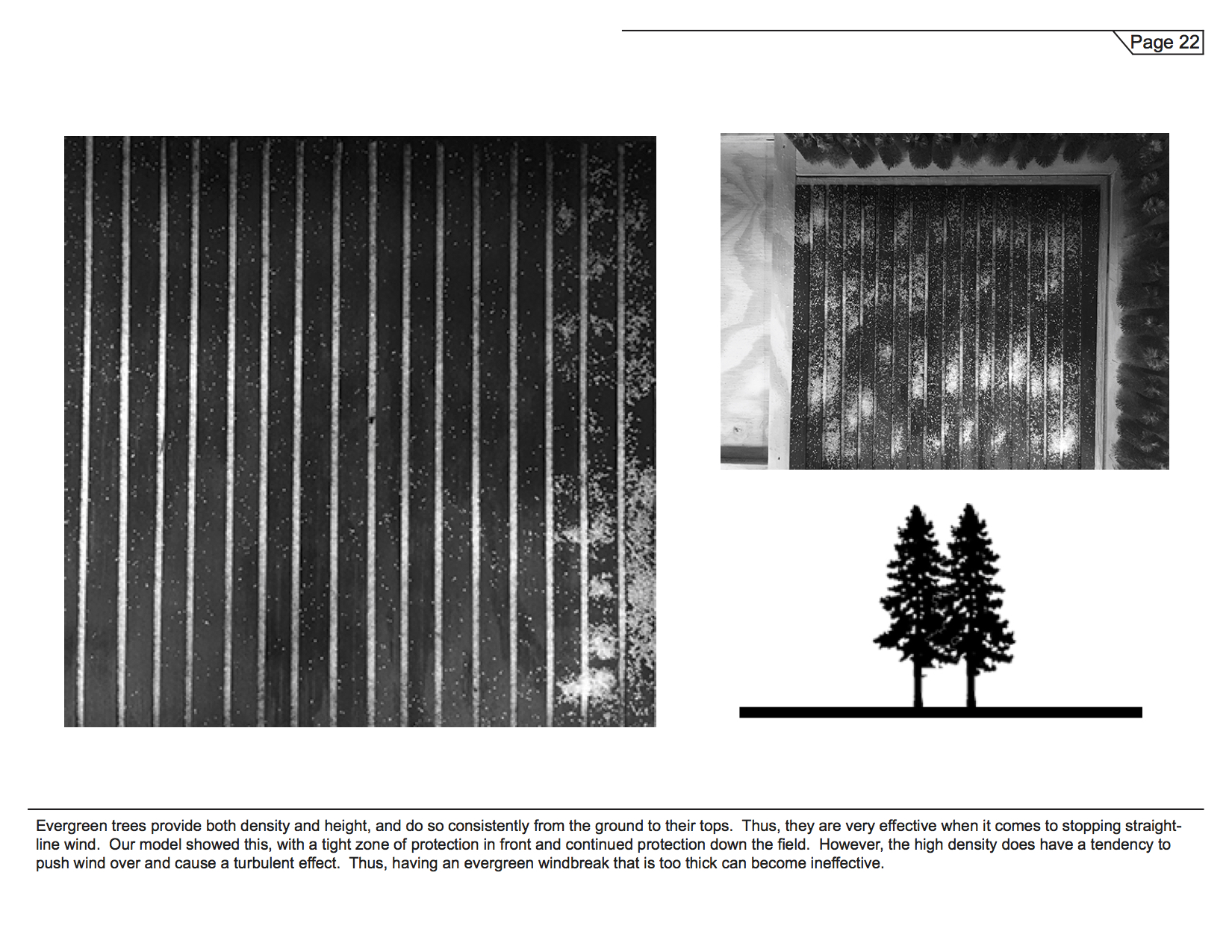 Dustbowl- Final Booklet Design 1 (dragged) 24.jpg