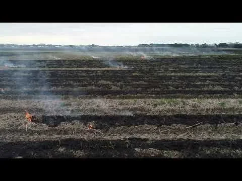 Quarter Drain Burn 2