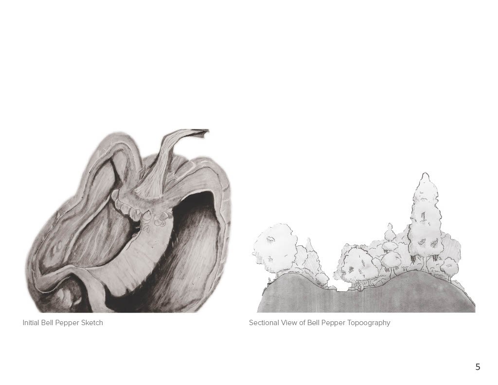 1712940258747-db48daca-86ec-44c8-8077-cd73fa321308Online_Part5_1 2.jpg