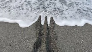 Line and Sea Erasure