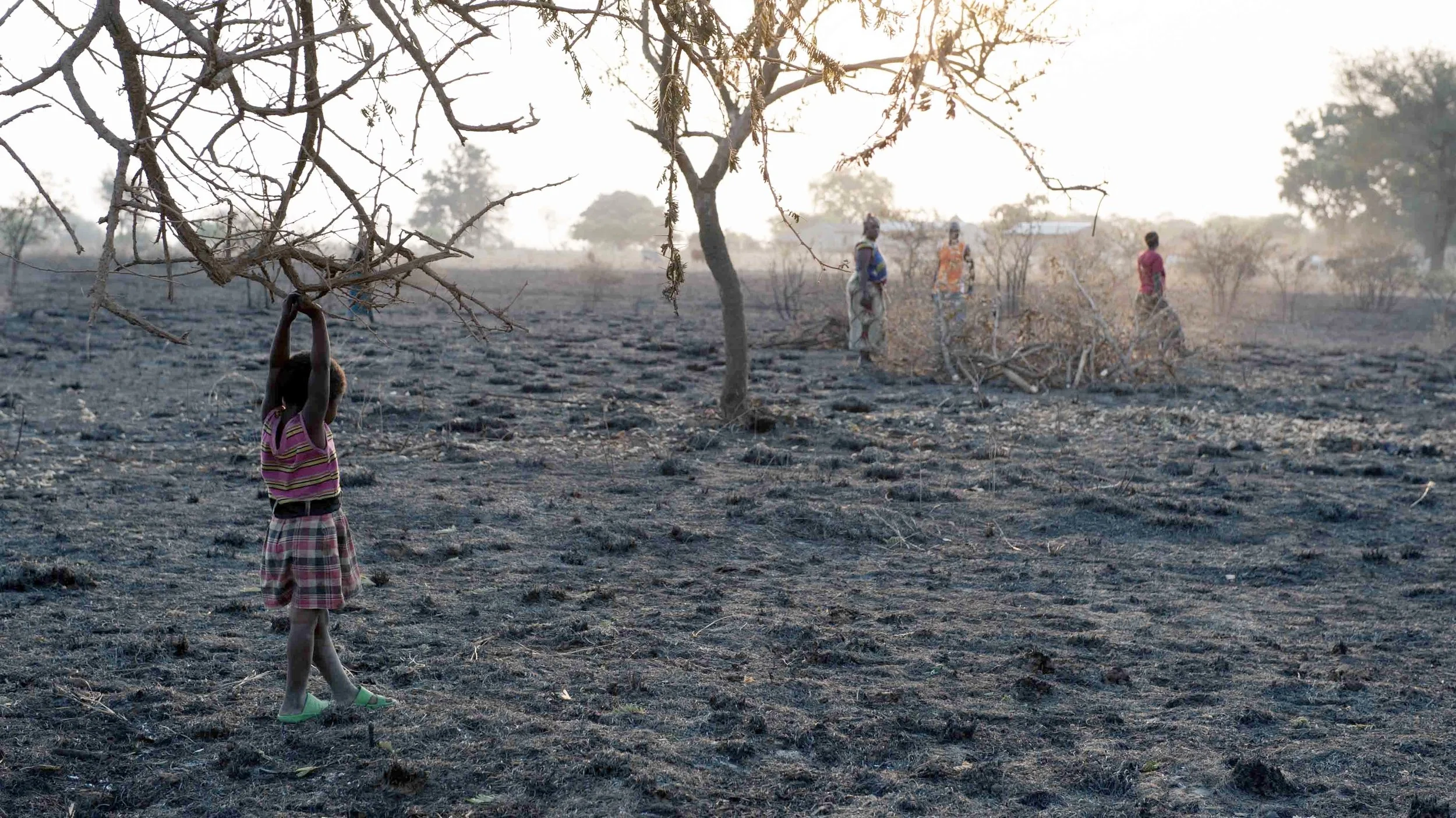   The Carrier &nbsp;/&nbsp;Documentary /&nbsp;Director: Maggie Betts  *** Tribeca 2011 