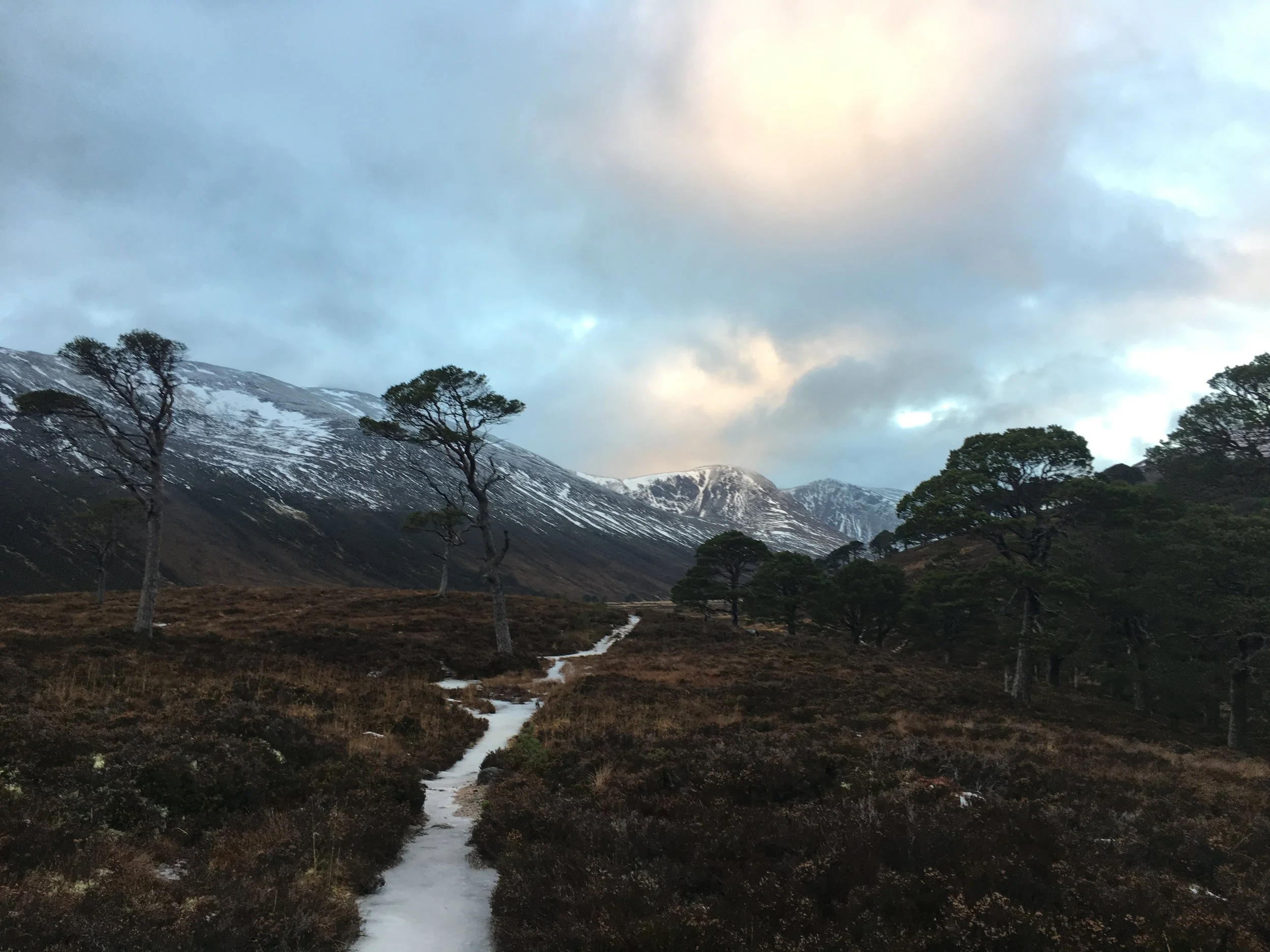 Glen Derry