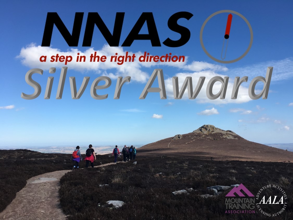 Copy of NNAS Silver