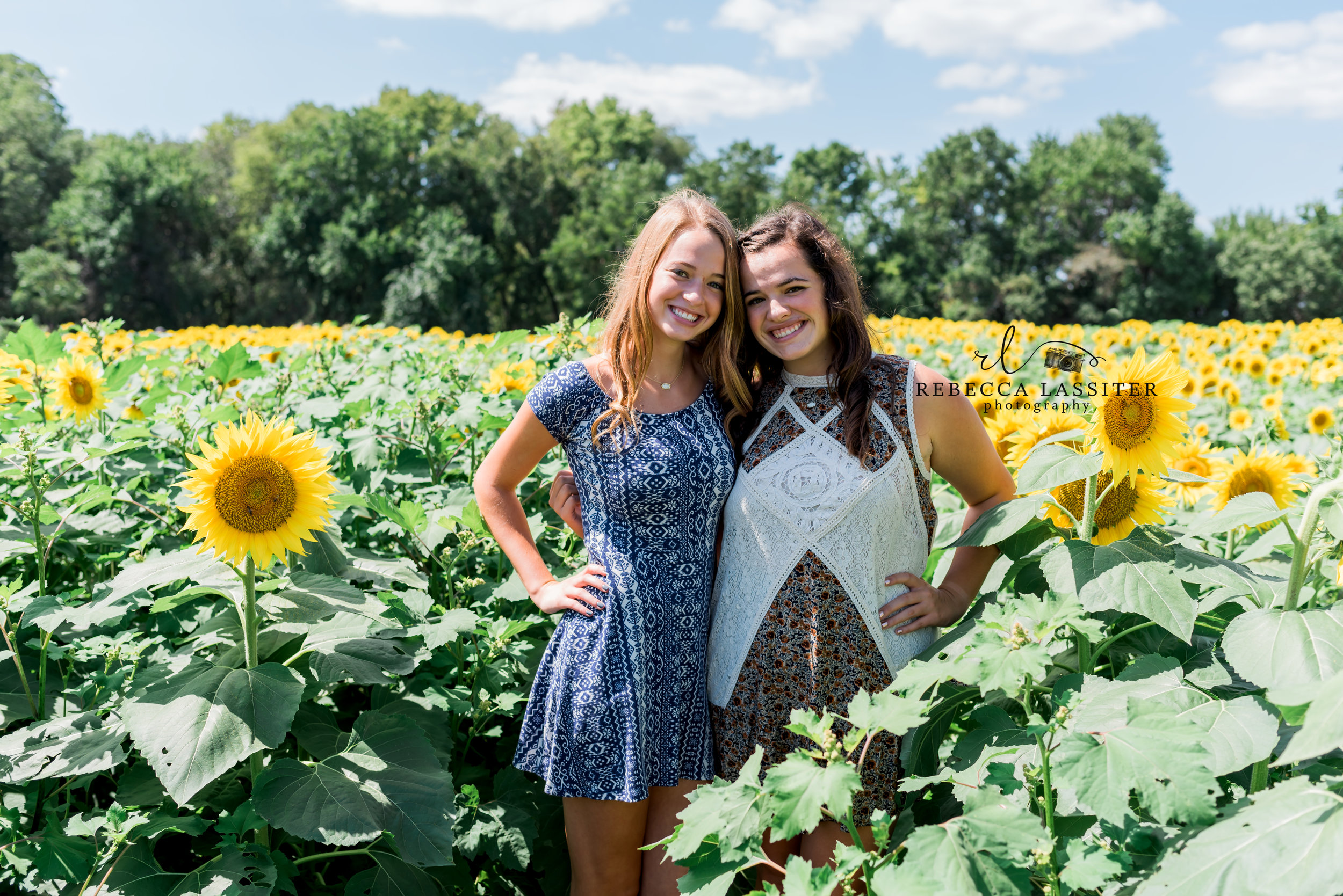 Sunflower Field Sessions at Grinter Farms, Lawrence KS — Rebecca