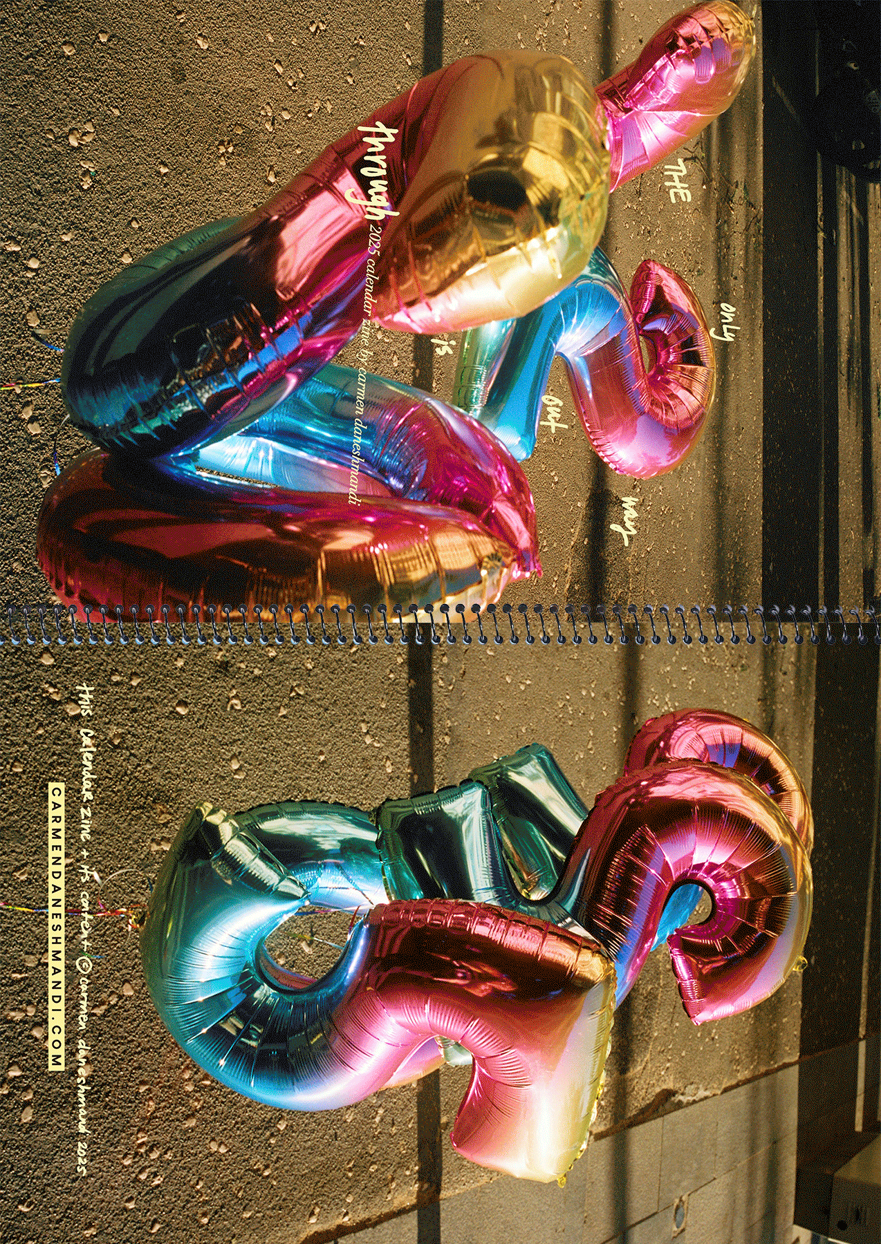 2025 Calendar Zine - Carmen Daneshmandi.gif