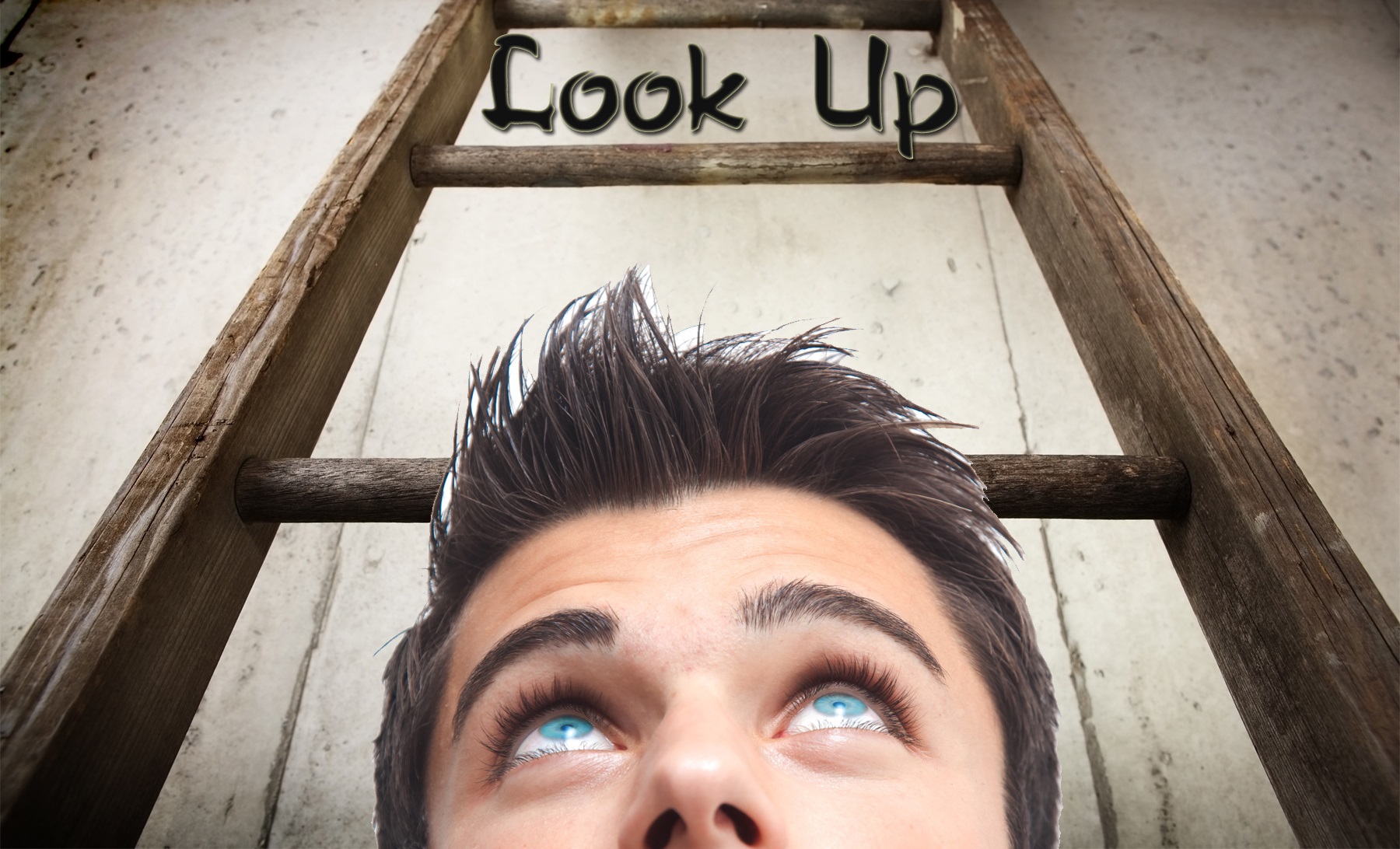 Look Up