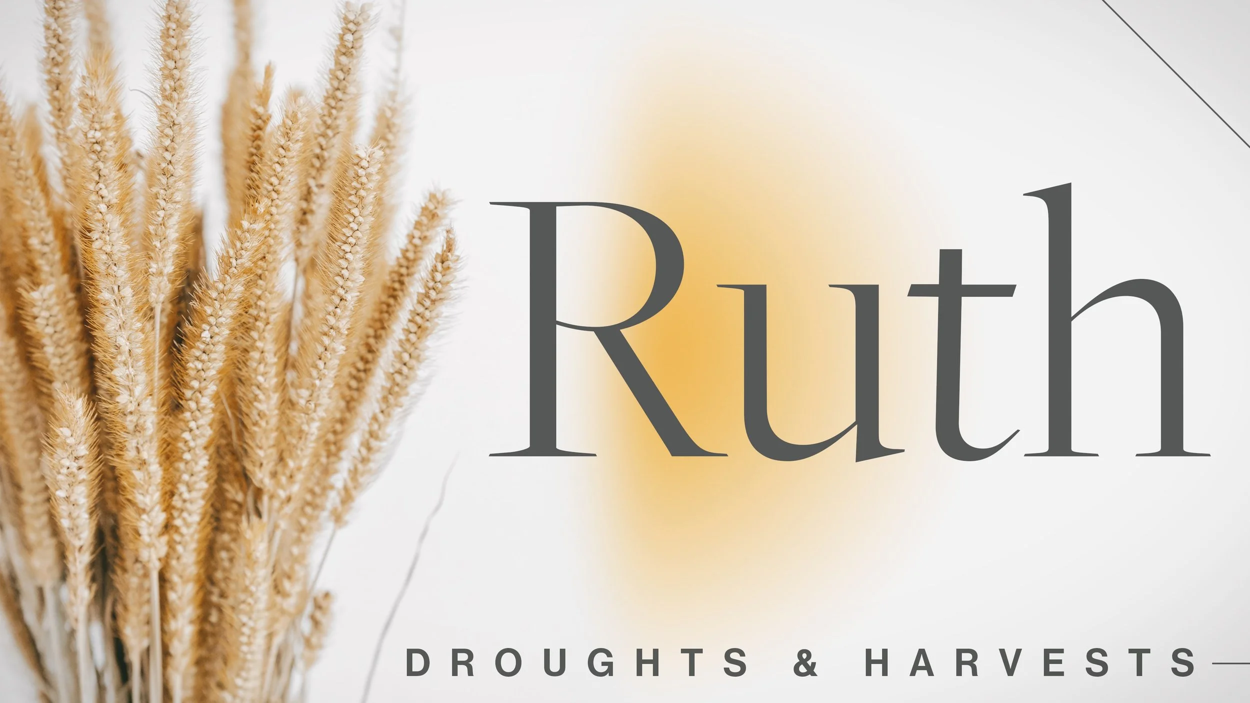 Droughts &amp; Harvest