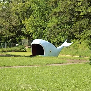 Willy the Whale