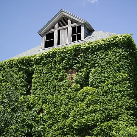 Fort Totten: Abandoned