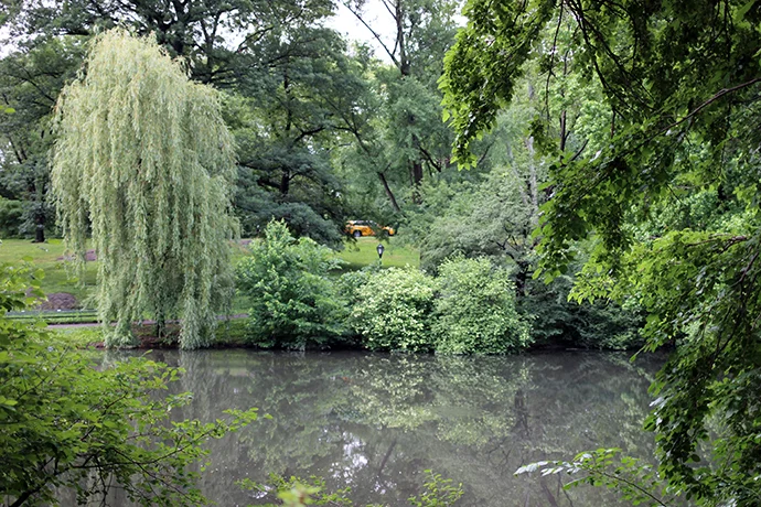 Central Park: Reflections
