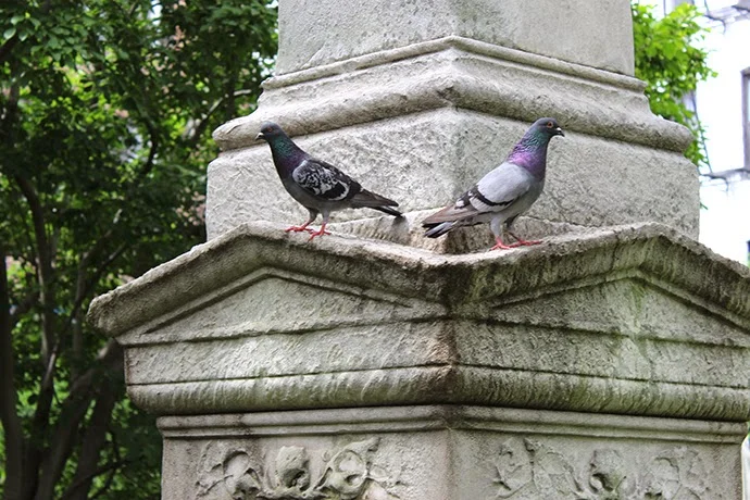 New York City Marble Cemetery