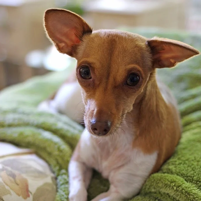 365 Project: Days 100-106